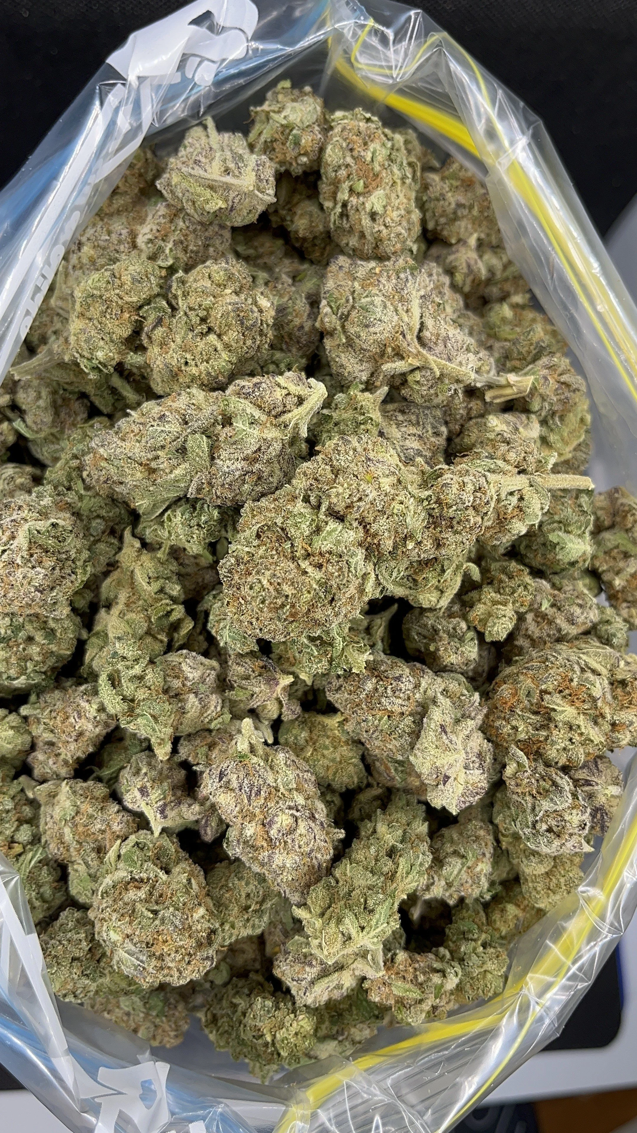 White rhino