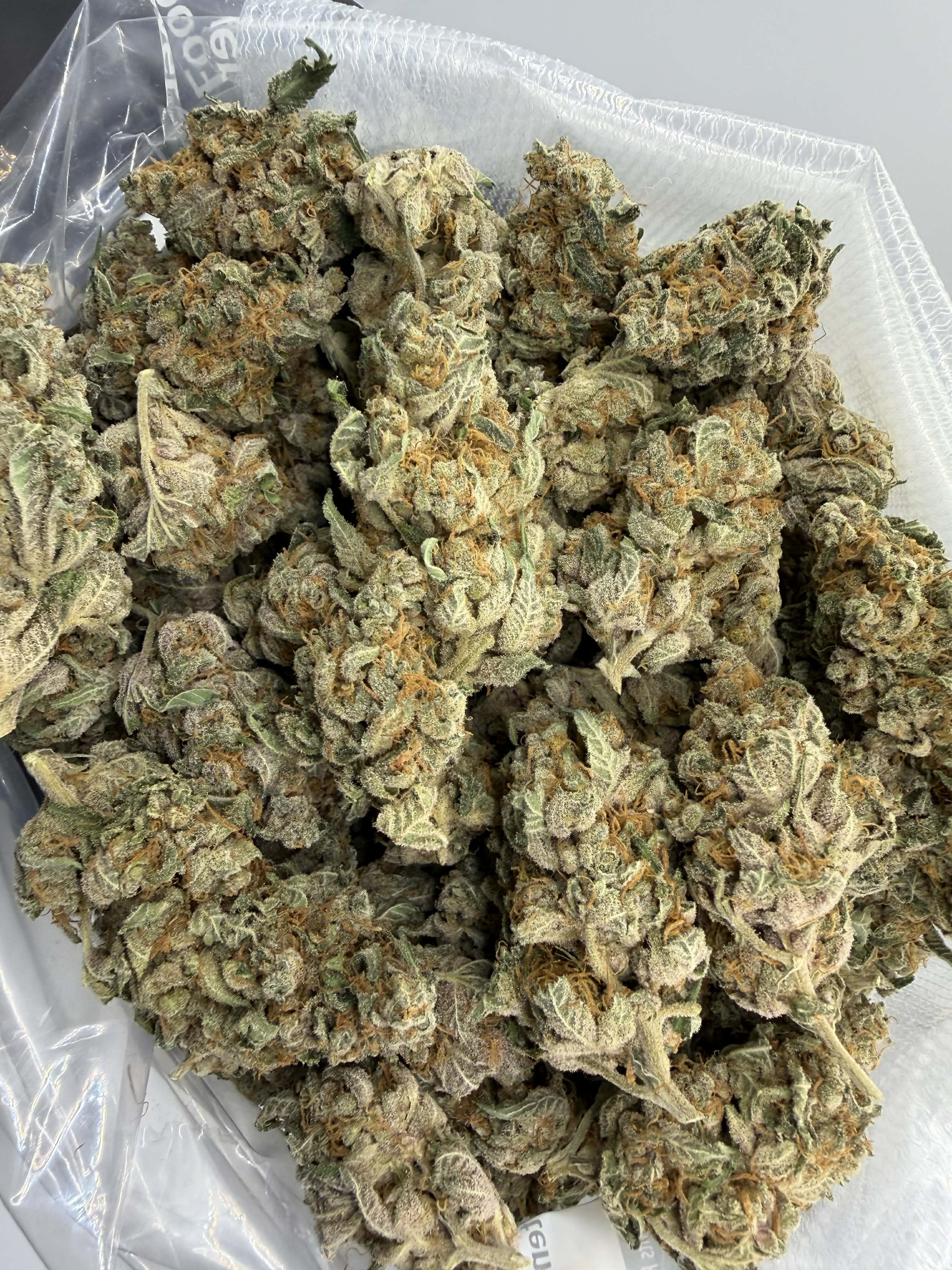 Blackberry