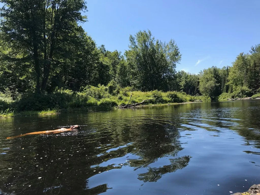 A serene river scene with lush green trees along the riverbank, clear blue sky, and a person swimming in the water.