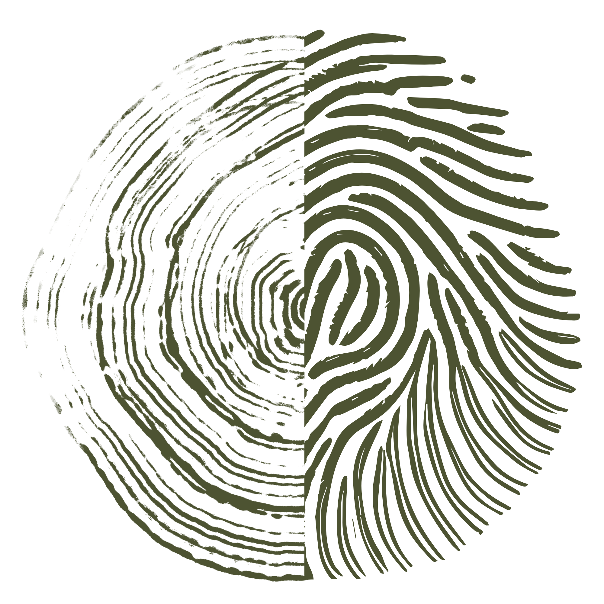 Circular logo that's half of a tree's rings and half of a finger print. The lines merge together beautifully.