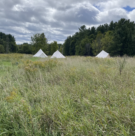Three white tents in a grassy field with trees and cloudy sky in the background.