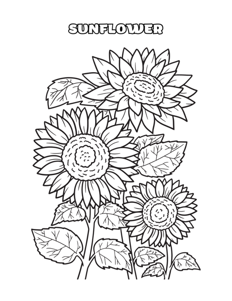 Black and white coloring page of three sunflower flowers with large petals and leaves, labeled 'Sunflower' at the top.