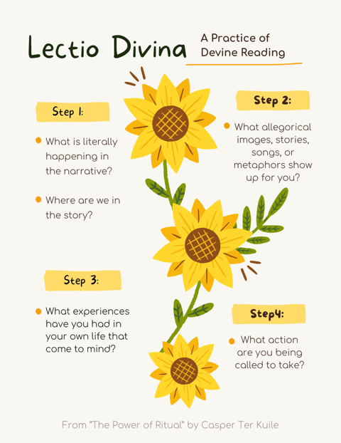 Infographic titled "Lectio Divina," illustrating a four-step practice for divine reading, featuring a sunflower graphic and four steps with questions about narrative, allegorical images, personal experiences, and actions.
