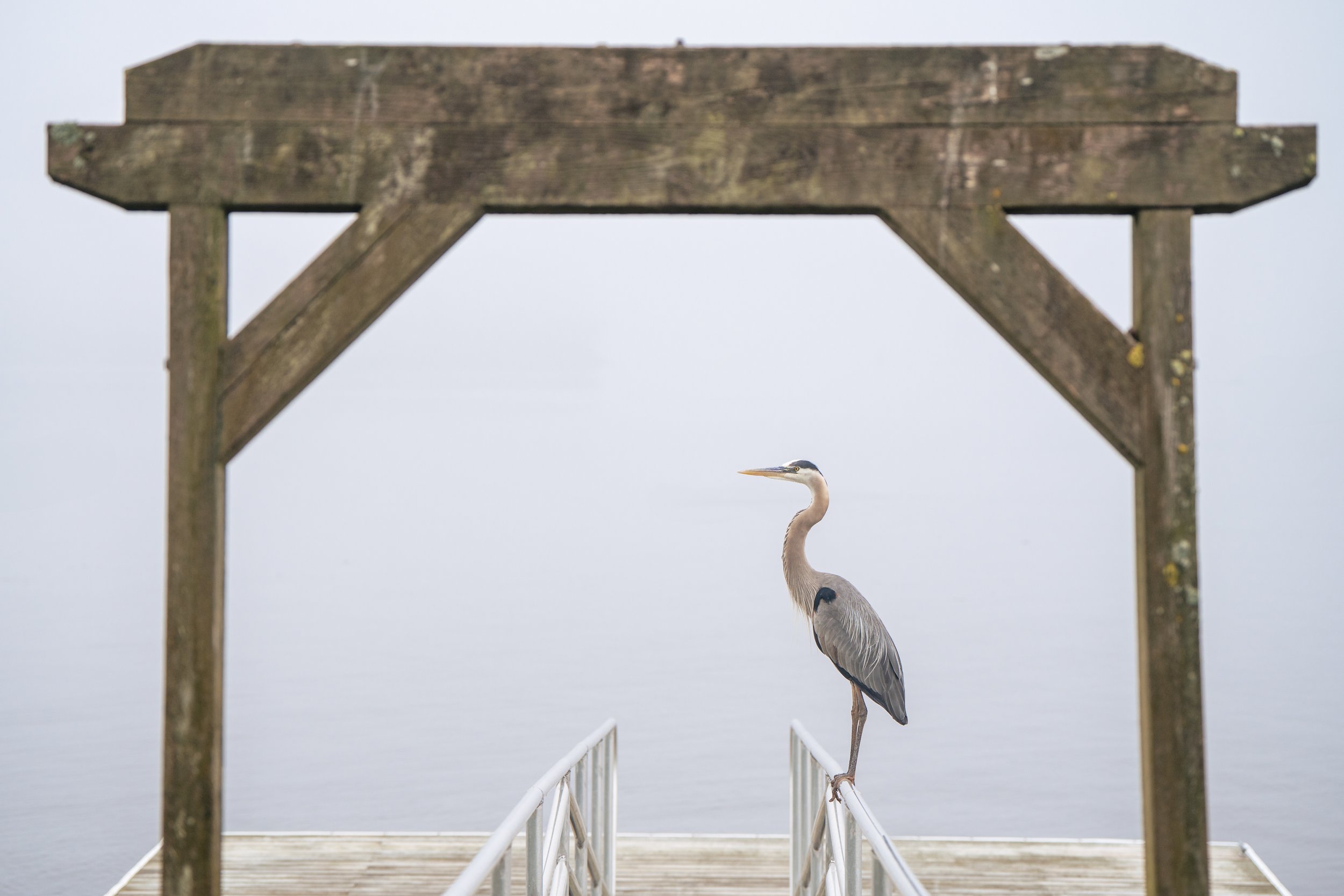 Photos &amp; Video by Two Adventurous Souls -Featuring Emily Cromwell Designs