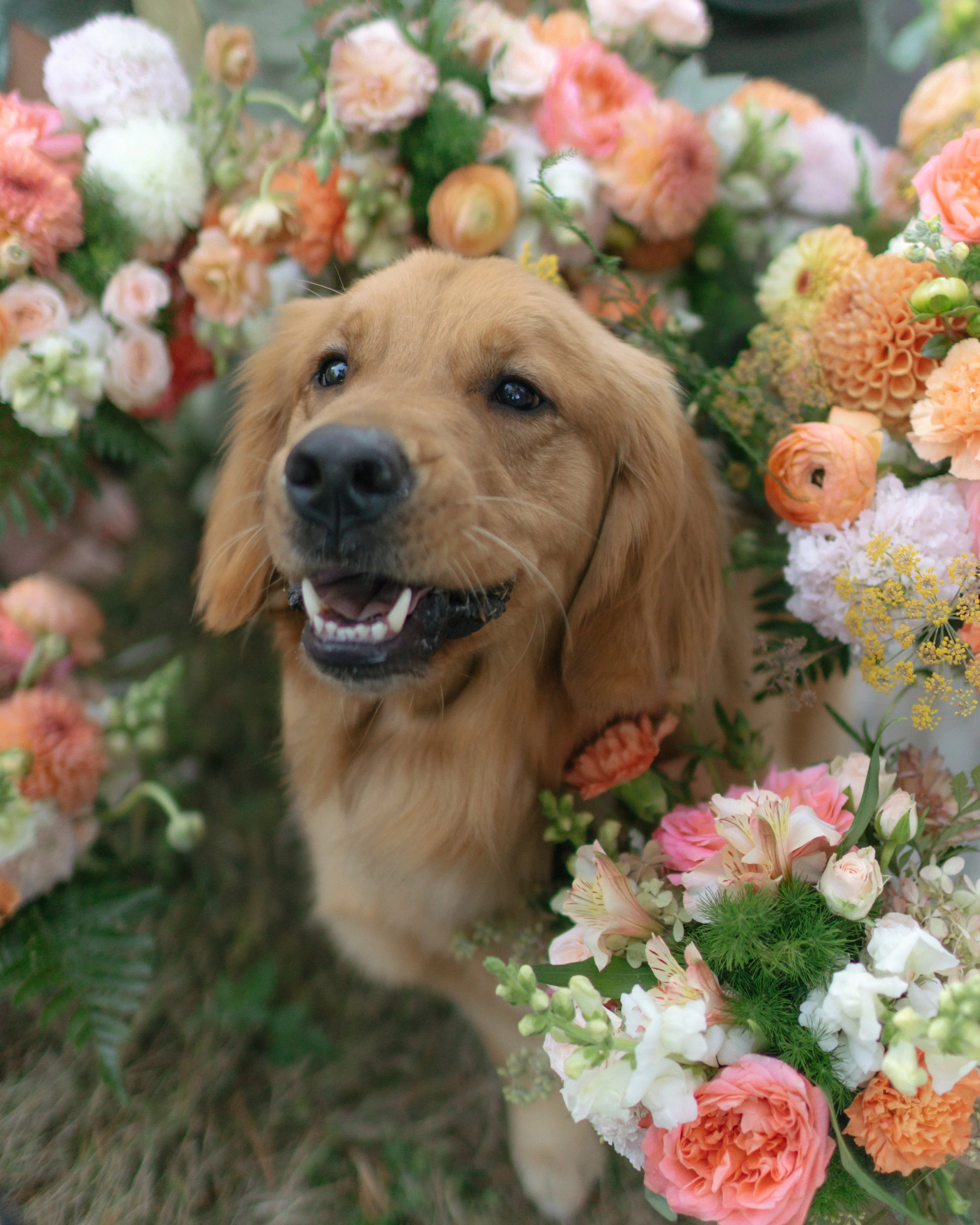 4-the-wedding-party-9.jpg