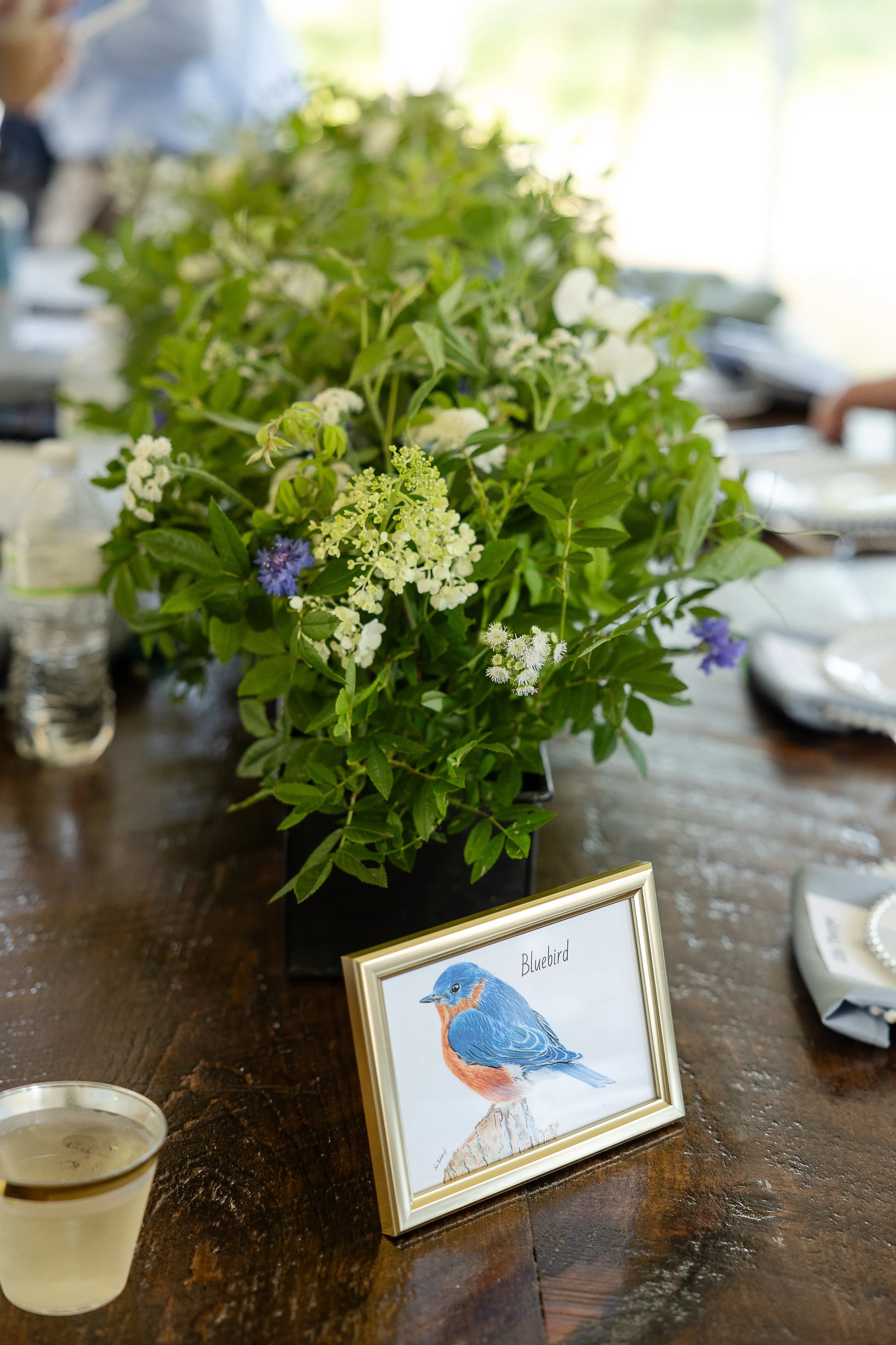 bird table setting.jpg