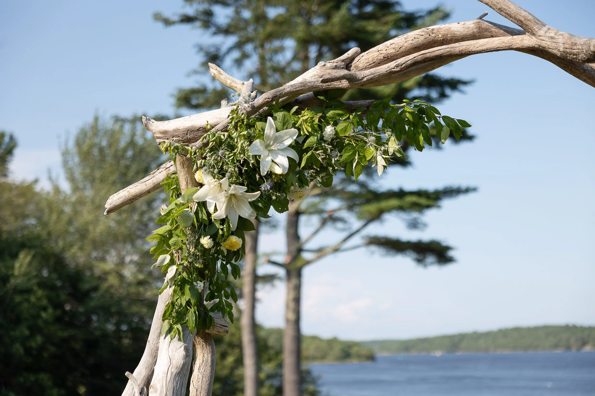 top arbor.jpg