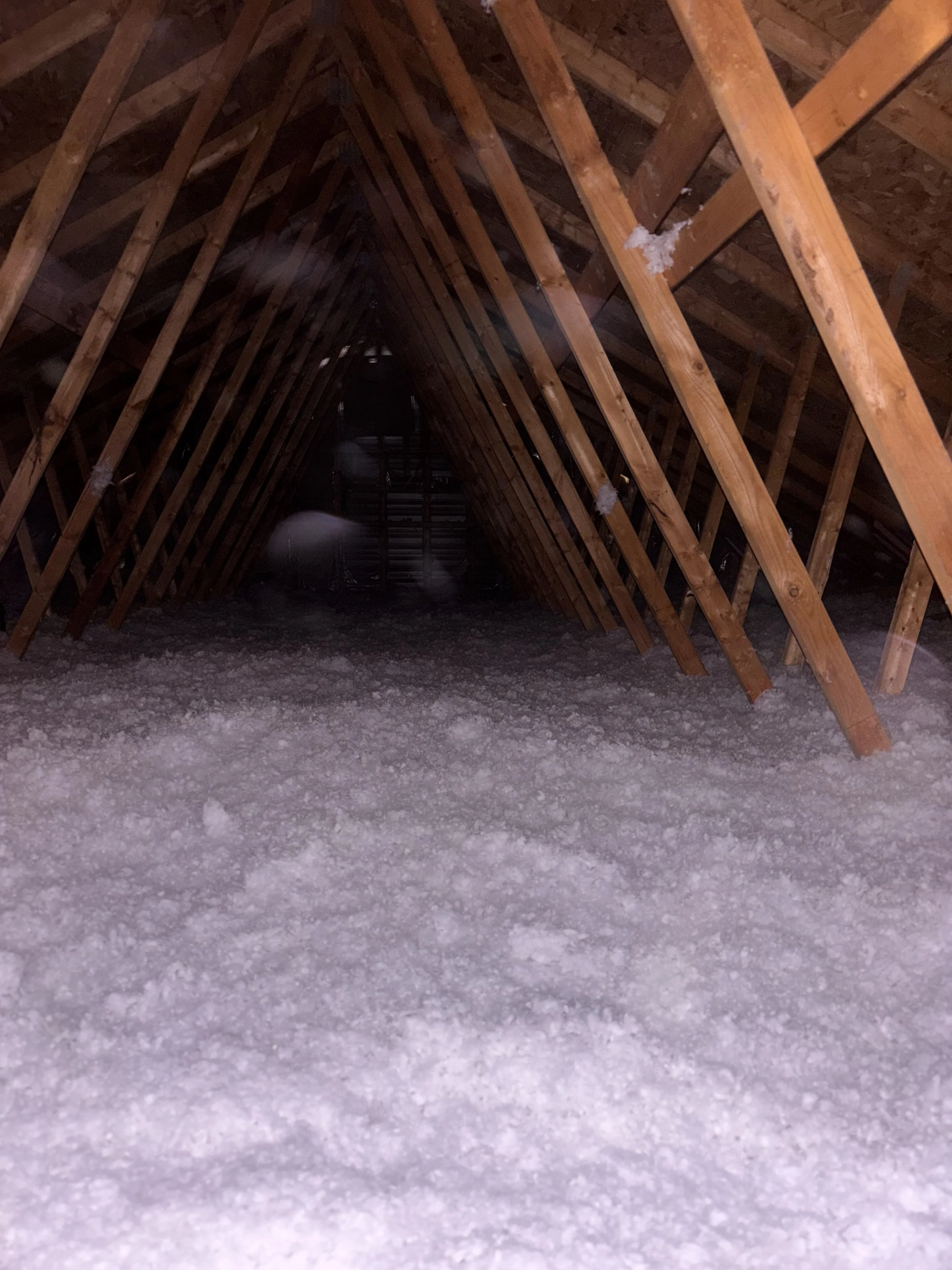 Attic insulation services