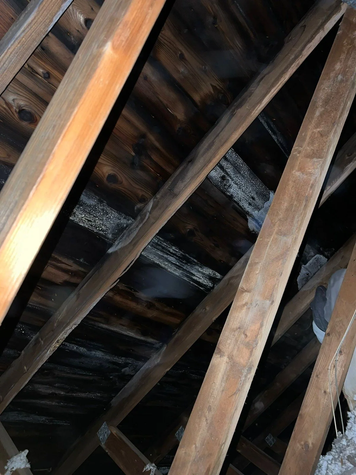 Attic decontamination