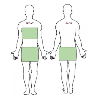 Diagram of front and back views of a human body with two green rectangles highlighting different parts of the body.