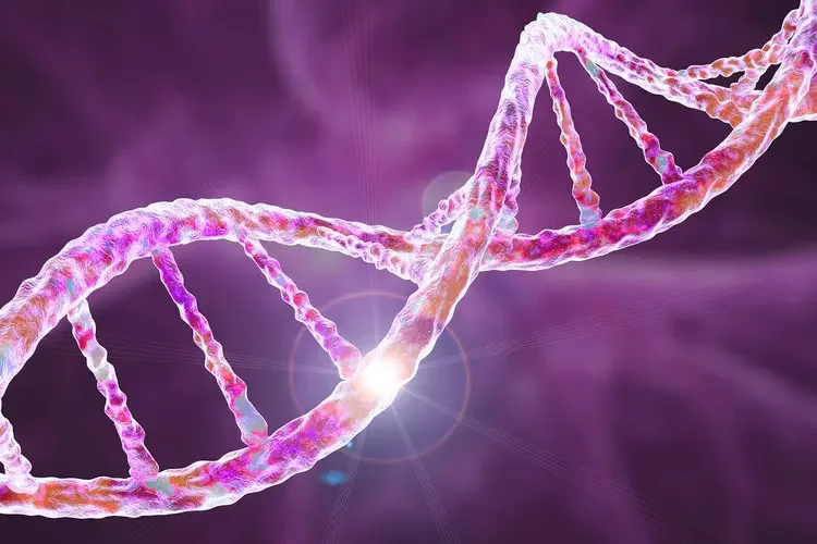 MTHFR and COMT Gene Variants