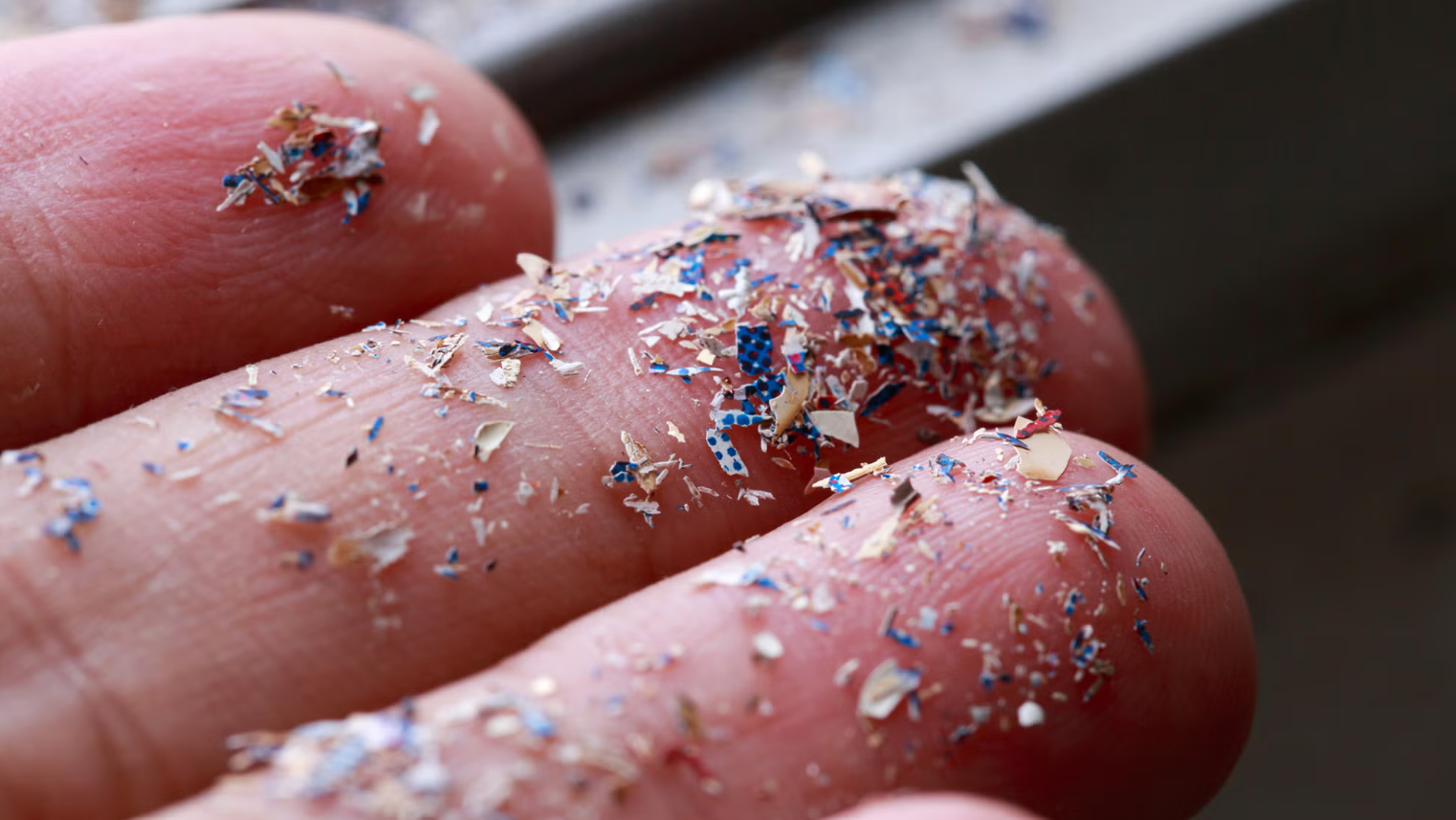 Microplastics &amp; Your Health: Evidence-Aware Guide