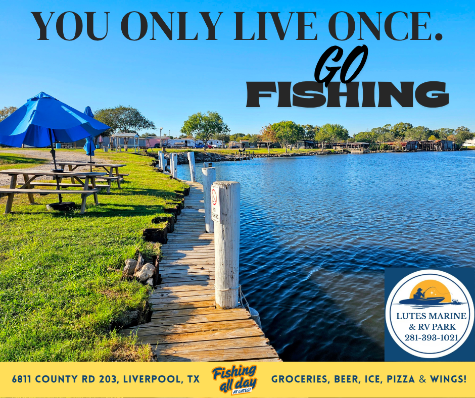 YOU ONLY LIVE ONCE..png