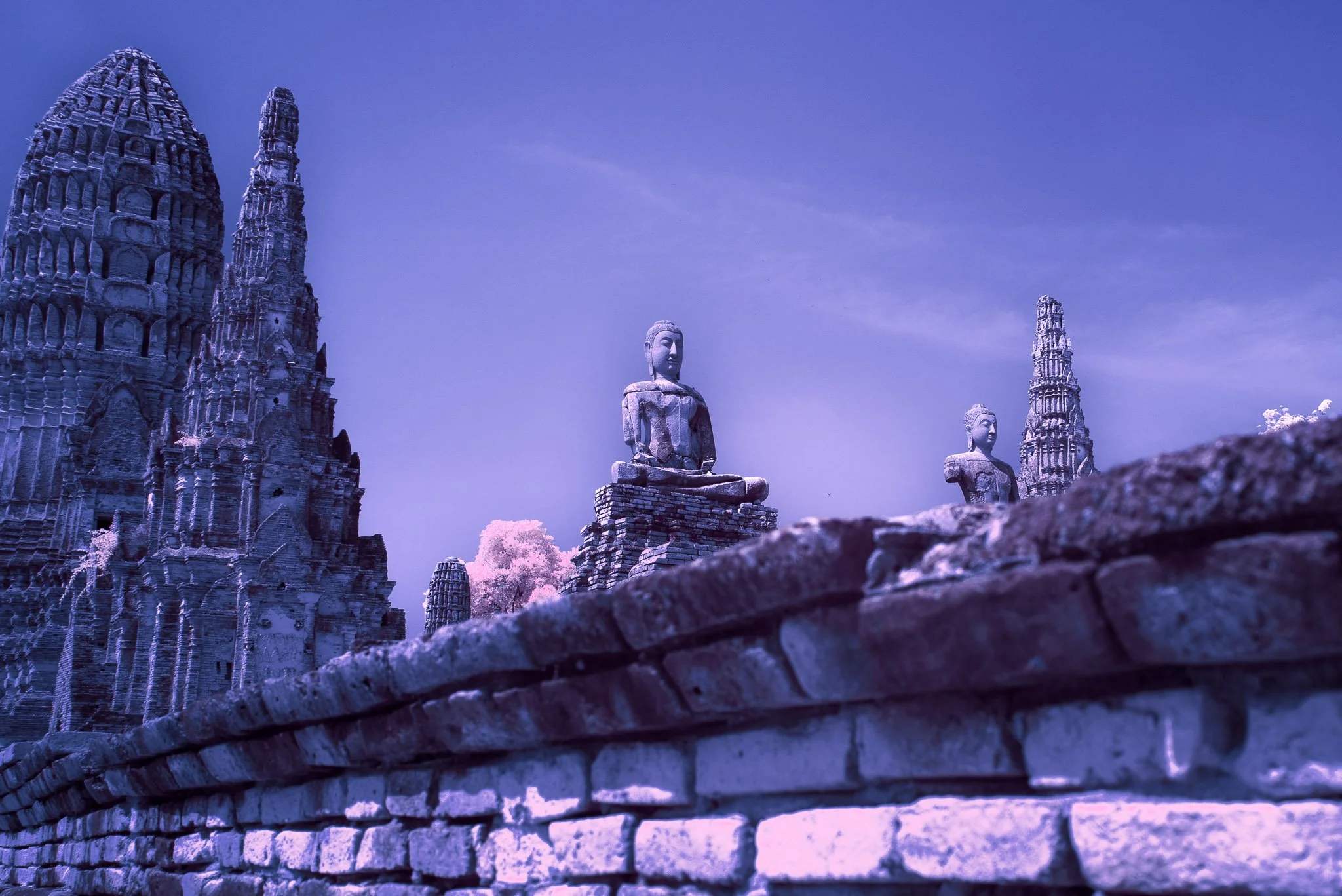 DSC00130-Edit.jpg