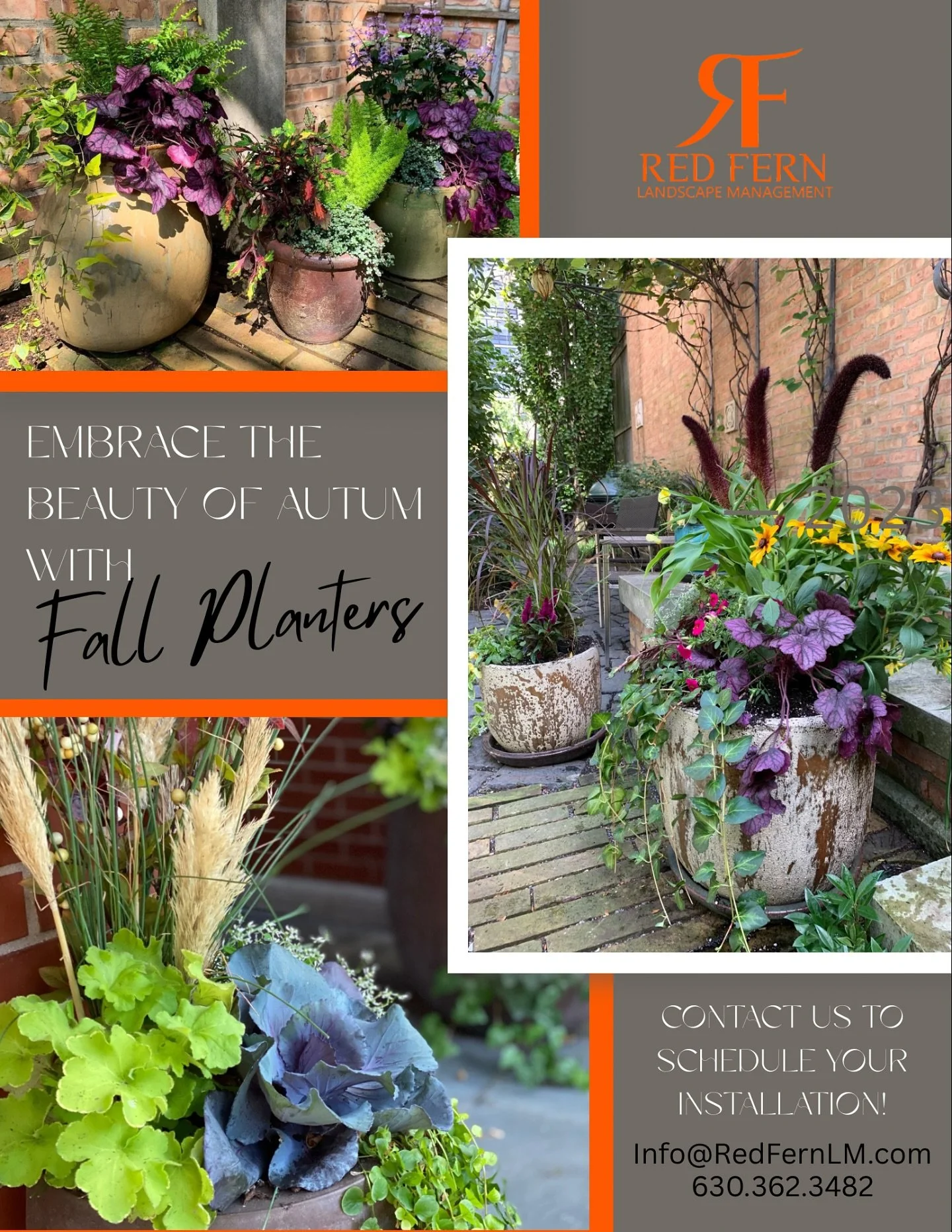 Transform your outdoor spaces with seasonal beauty and vibrant autumn colors by scheduling your fall planter installation today 🍂🍁🍃
#followthefern #chicagolandscaping #chicagoplanter #chicagoplanneraddict #landscaping