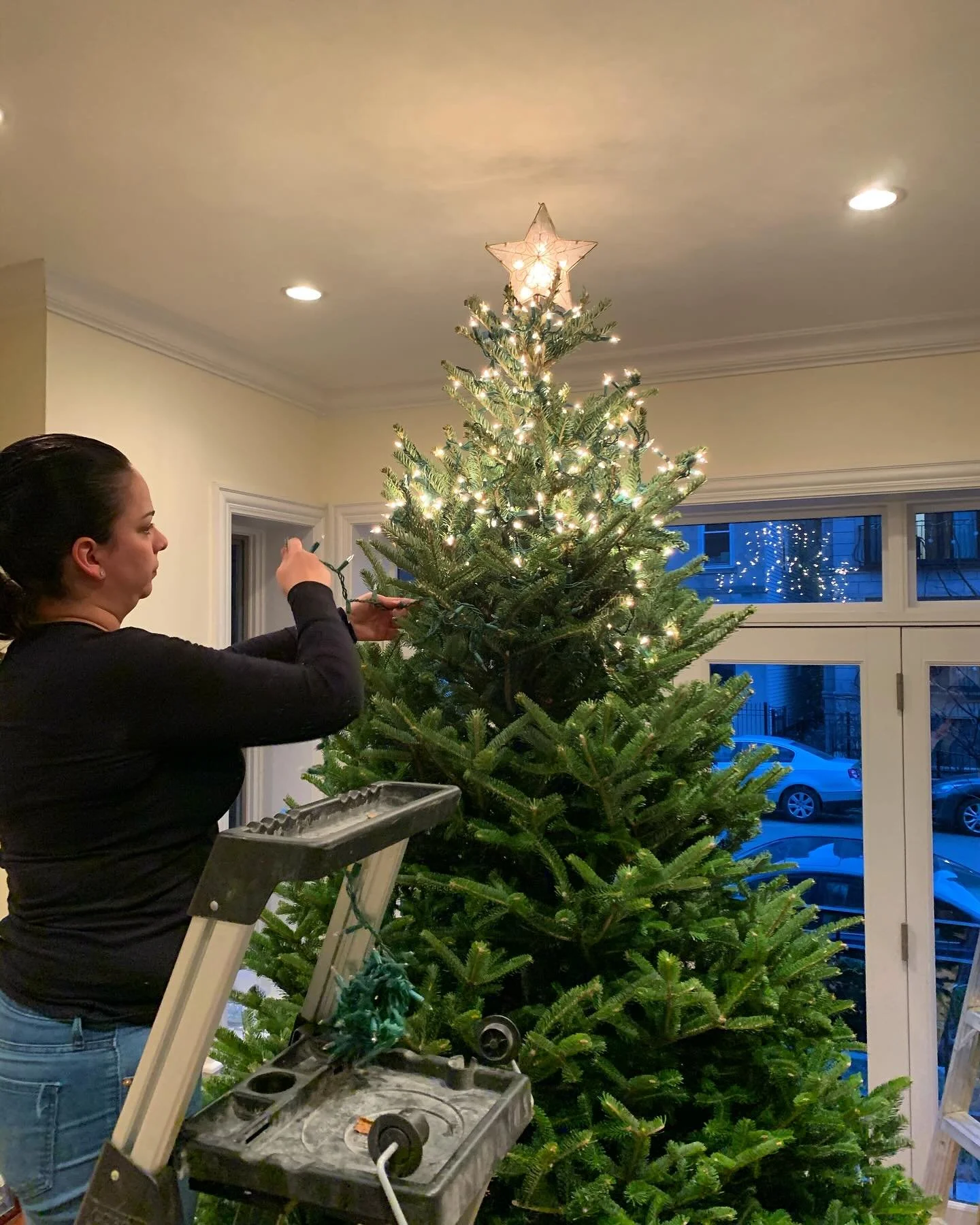 It&rsquo;s time to light up your house! 🎄 

#holidaydecor #chicagoholidaydecor #holidaylighting #followthefern