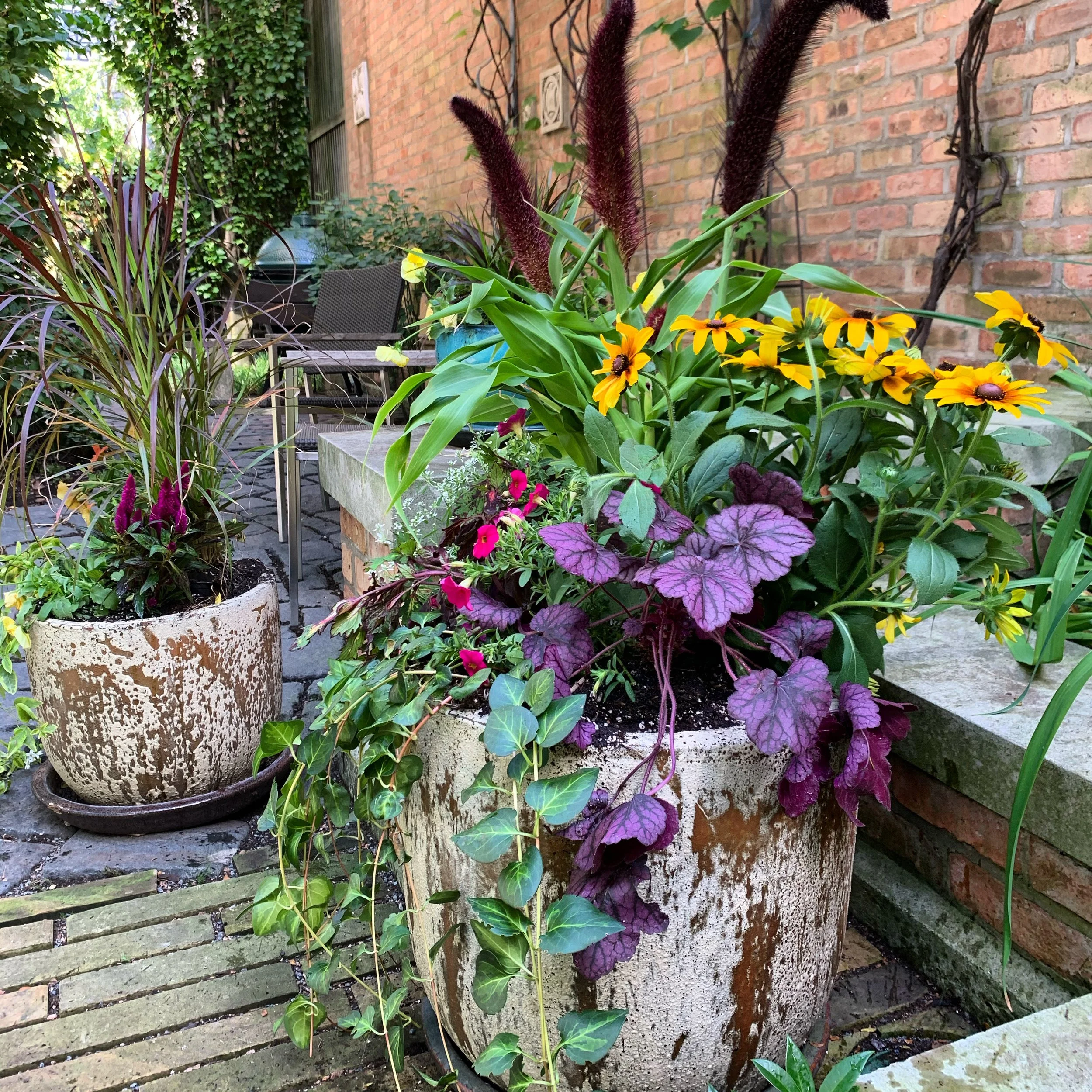 Flower pots with various blooming plants on a brick patio, including yellow and purple flowers, climbing ivy, and a brick wall in the background.