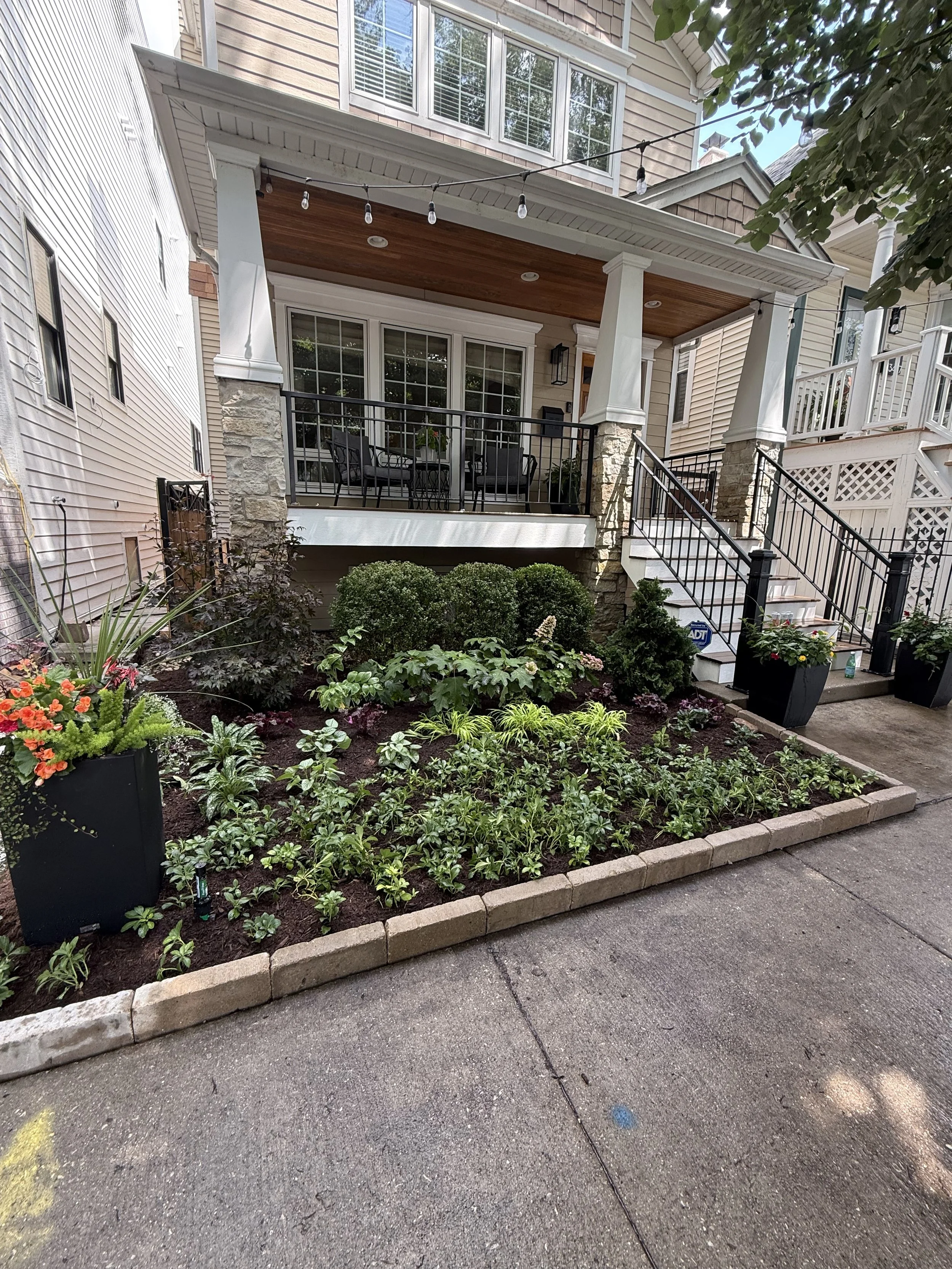 A house with a front porch decorated with string lights, overlooking a landscaped garden with various green plants and flowers, beside a concrete driveway.