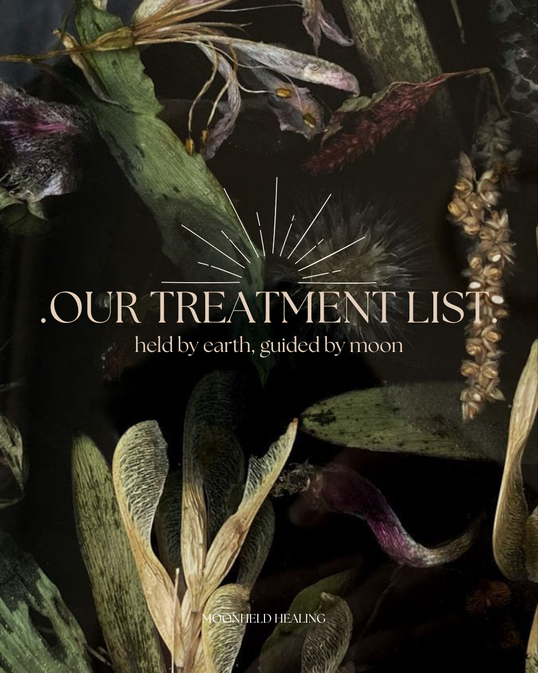 Text overlay reading 'Our Treatment List: held by earth, guided by moon' on a background of dried leaves and flowers in water with a dark setting.