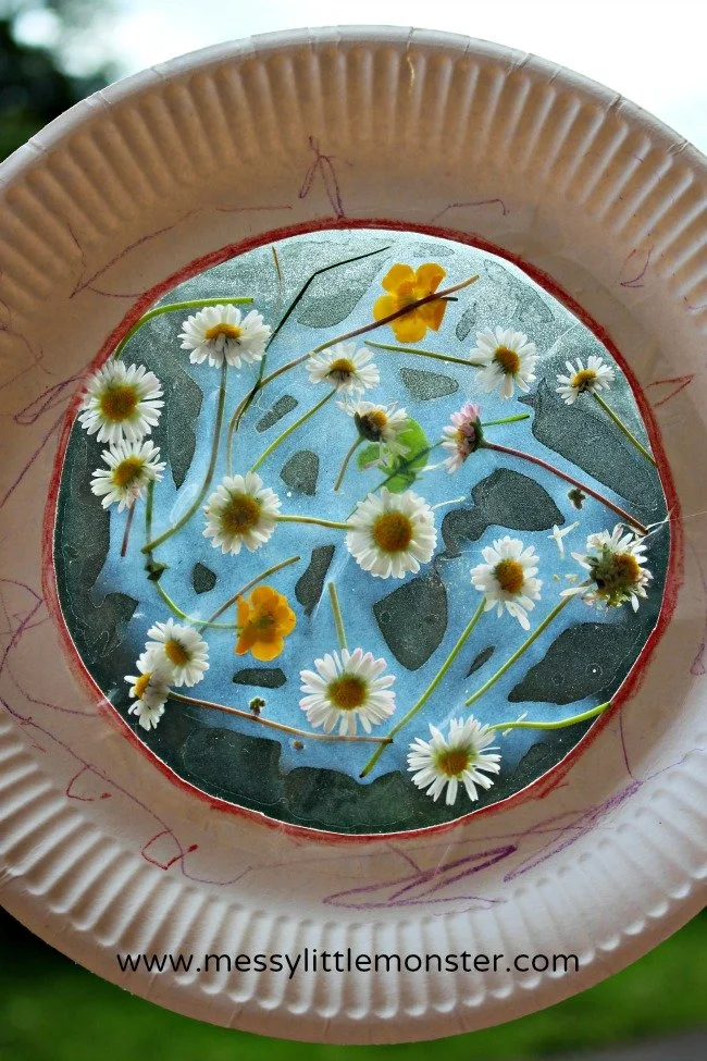 a daisy suncatcher craft.jpg