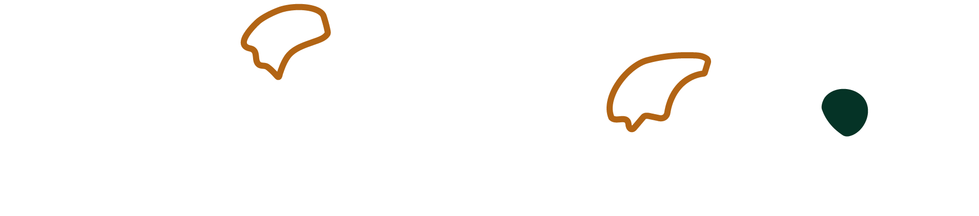 Line drawing of a flower with seven petals, five of which are outlined in white and two in brown, on a black background.