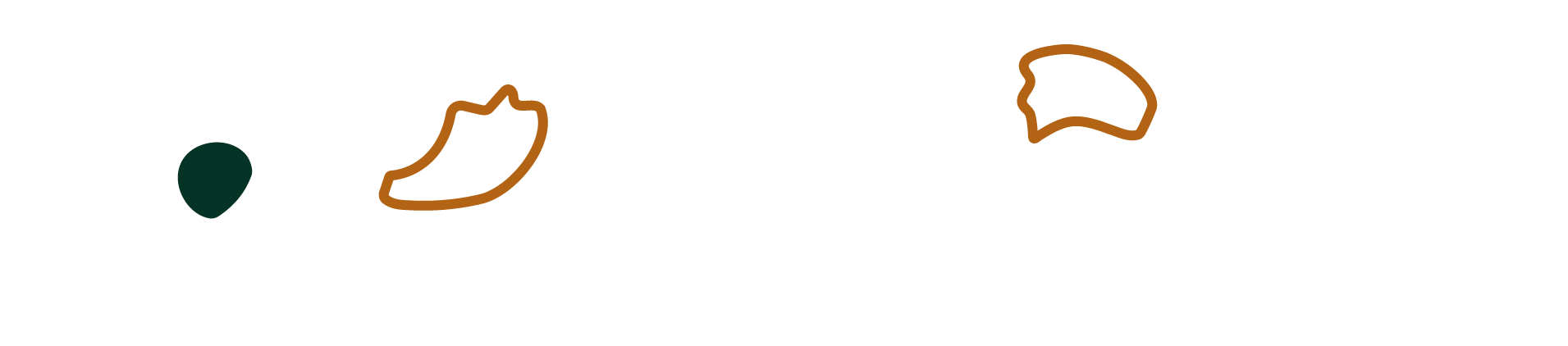 Line drawing of a flower with four petal-like shapes in white and brown, arranged in a semi-circle, on a black background.