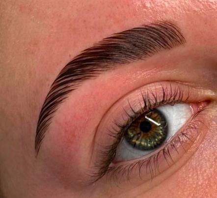 Close-up of a well-groomed eyebrow and eye with long eyelashes.