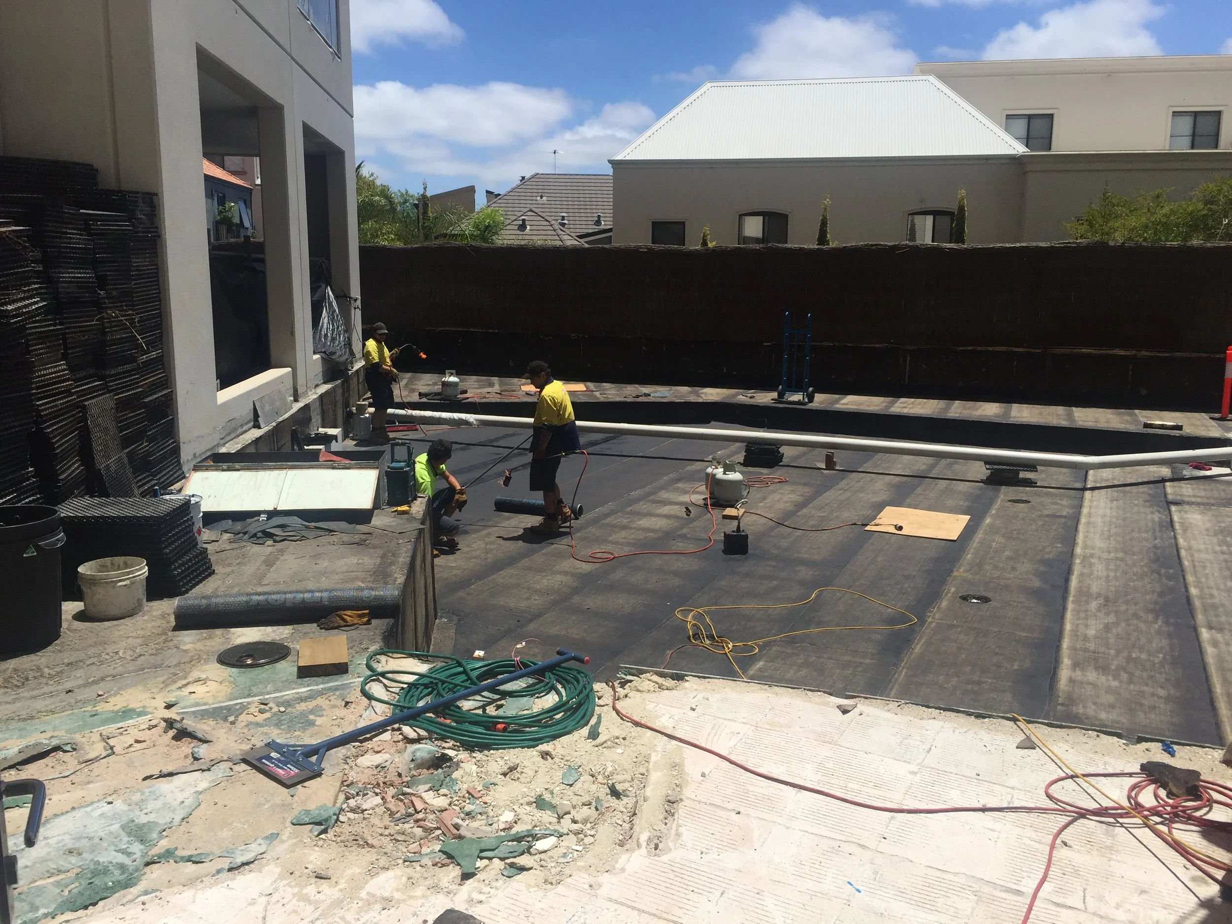 Photo 12-1-2016, 12 44 41 pm.jpg