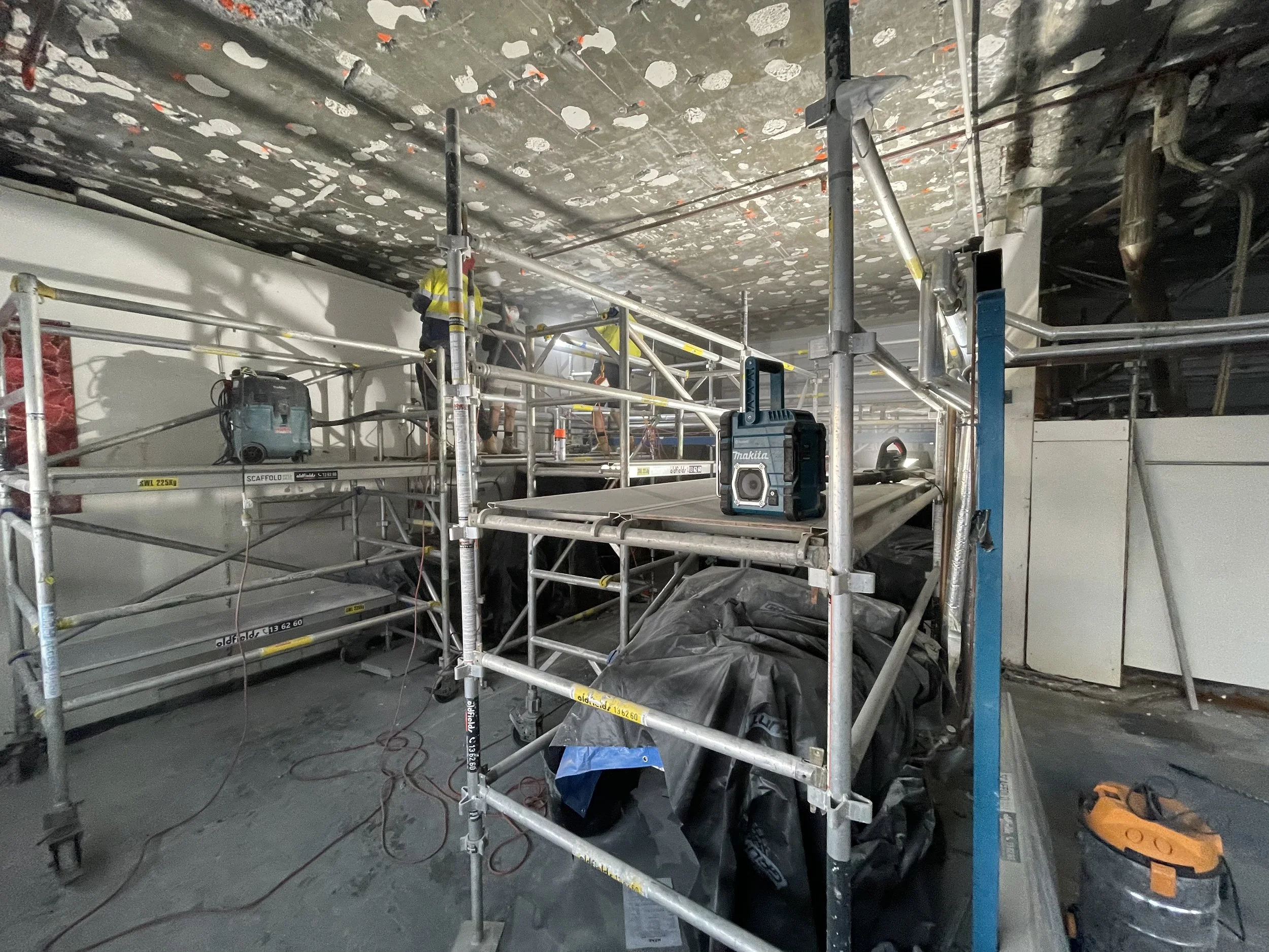 Photo 12-8-2021, 8 07 04 am.jpg