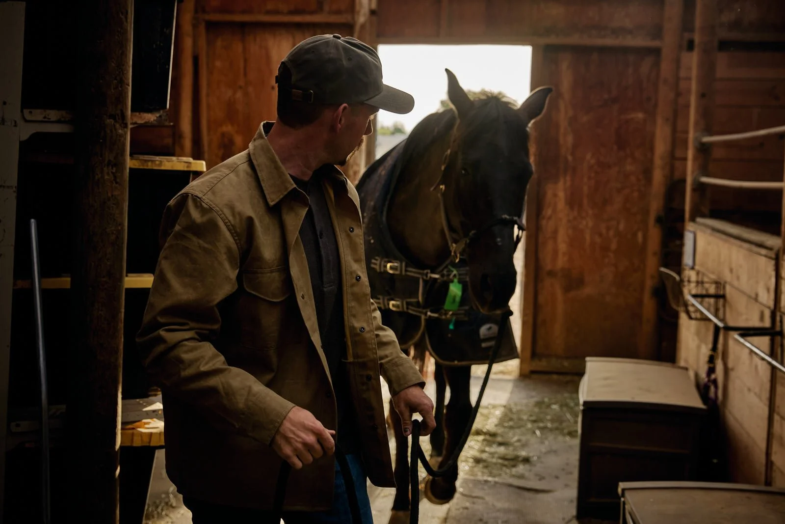A man in a brown jacket and cap holding a lead rope stands next to a dark horse inside a wooden barn with sunlight streaming in from the open door.