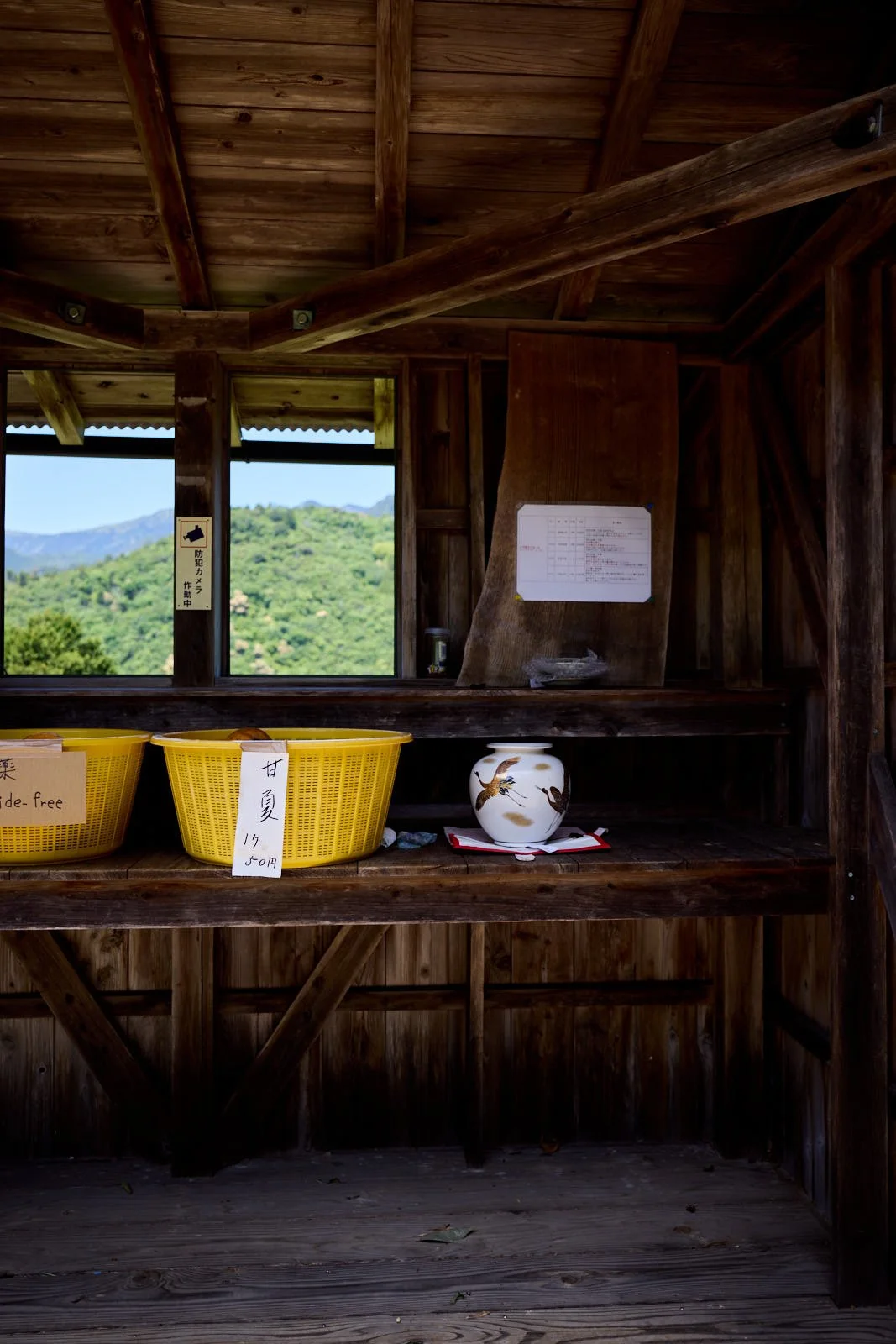 Wooden shelf with two yellow baskets, one labeled in Japanese, a decorative ceramic vase with eagle design, and a window overlooking green hills or mountains.