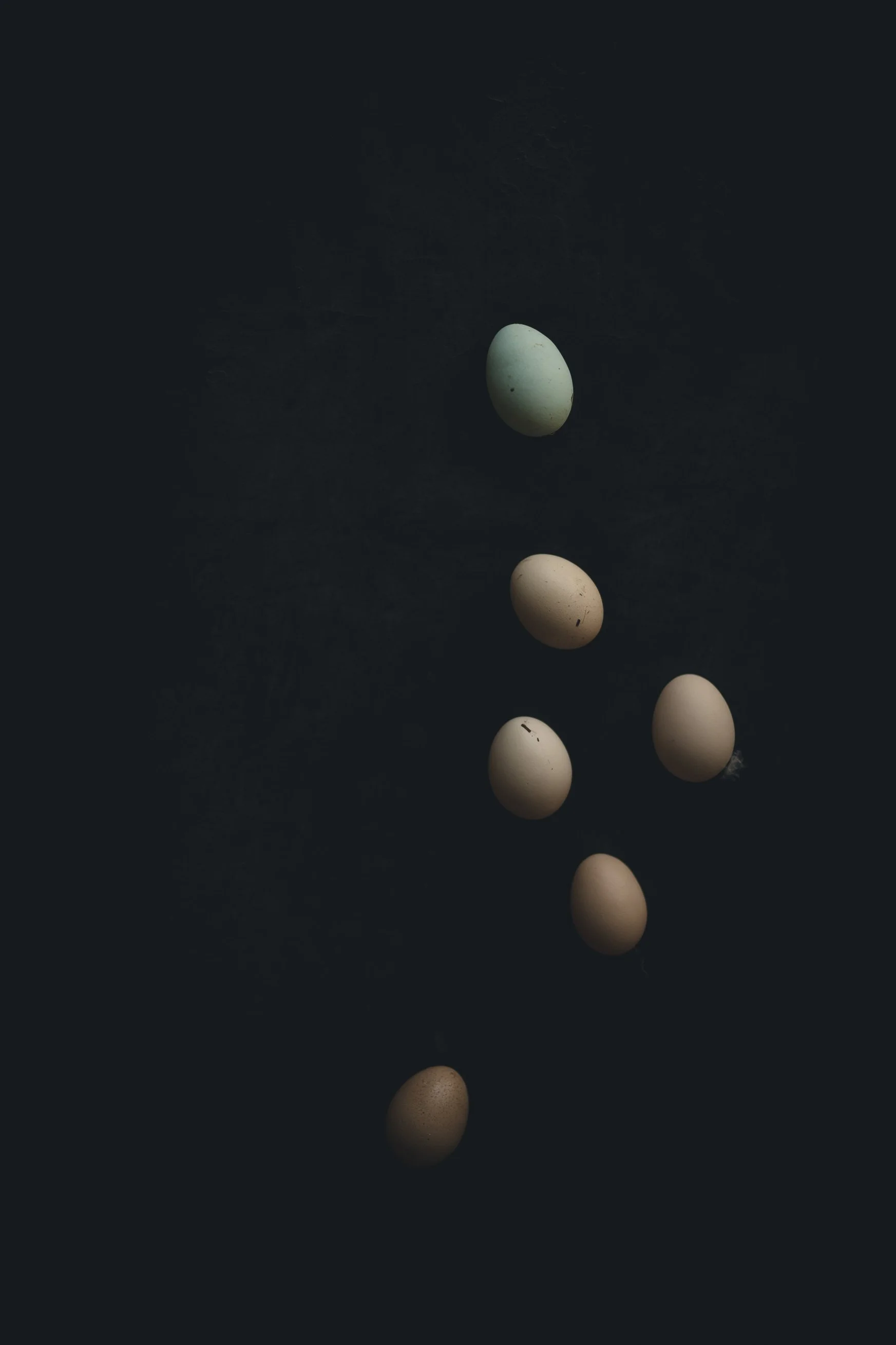 Seven eggs of varying sizes and colors arranged vertically on a dark surface.