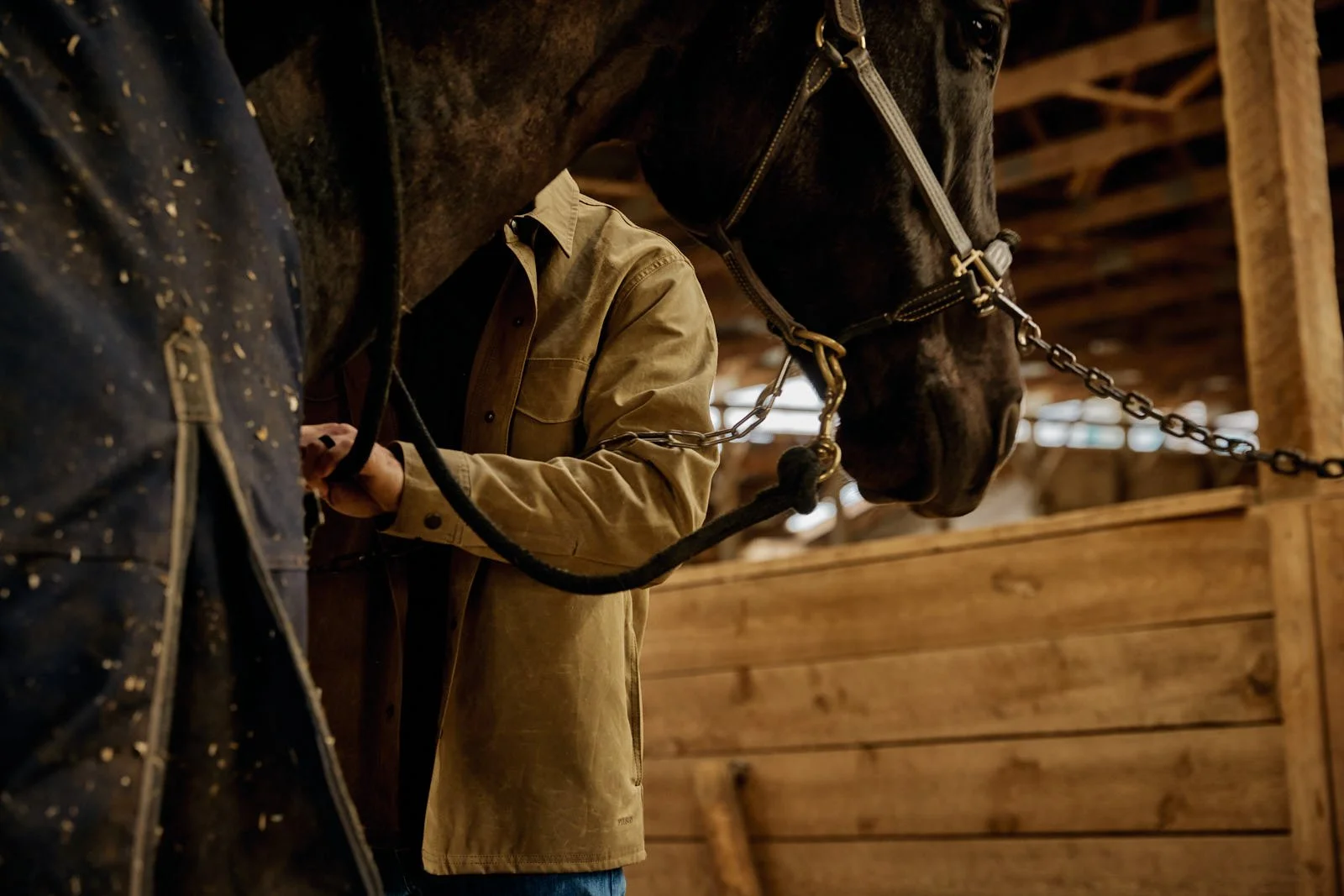 Person in tan jacket tending to a dark horse in a wooden stable.