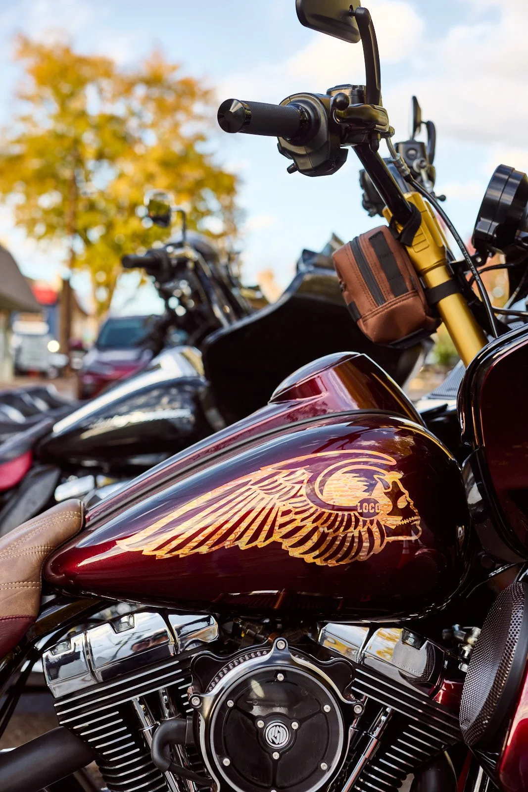 Close-up of a maroon motorcycle with a skull and wings graphic on the fuel tank, parked among other motorcycles outdoors with trees in the background.