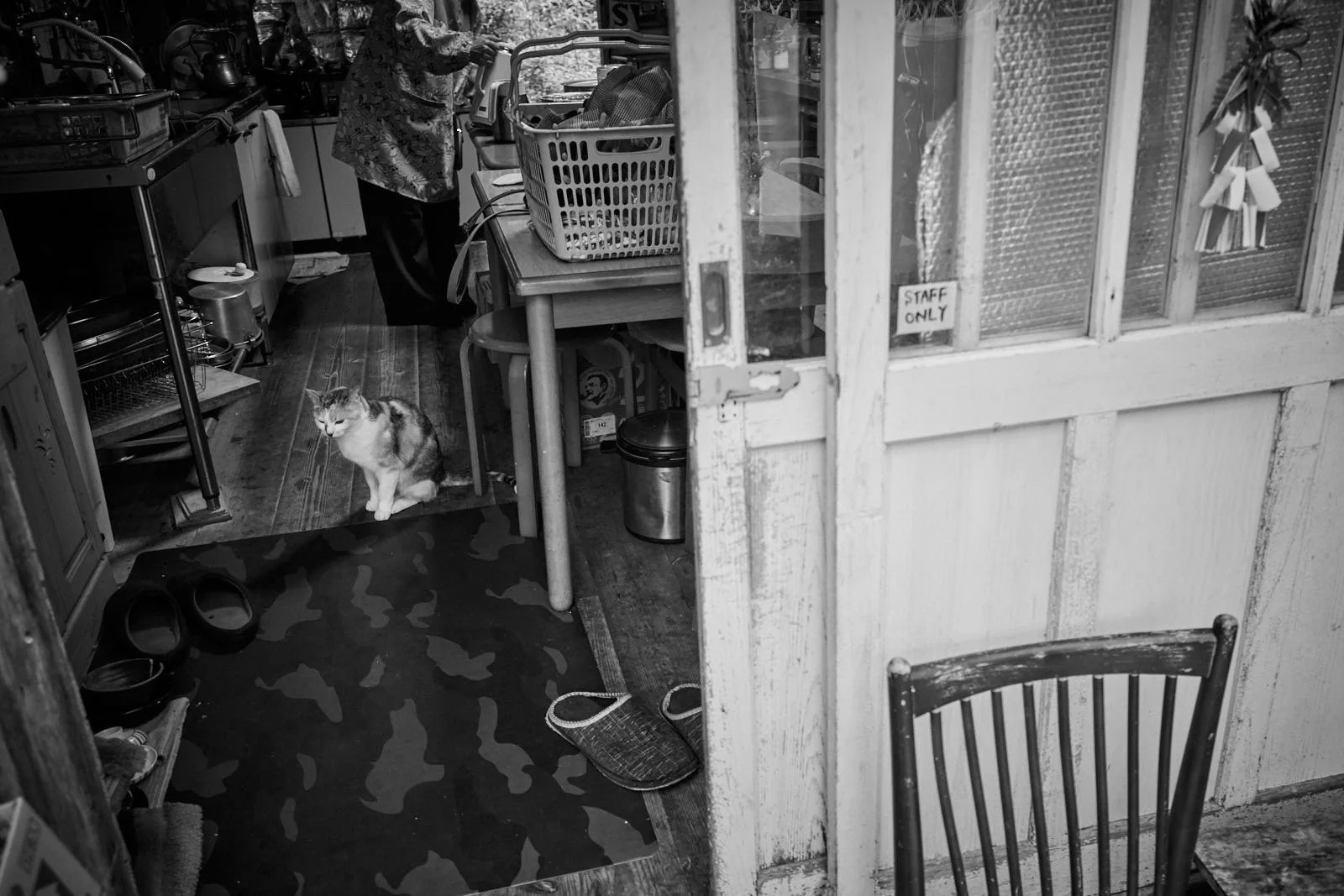View of a cozy interior space with a cat sitting on a small rug near a doorway, a person working in the background, and various household items such as shoes, baskets, and a trash can. A sign reads 'STAFF ONLY' on the glass door.