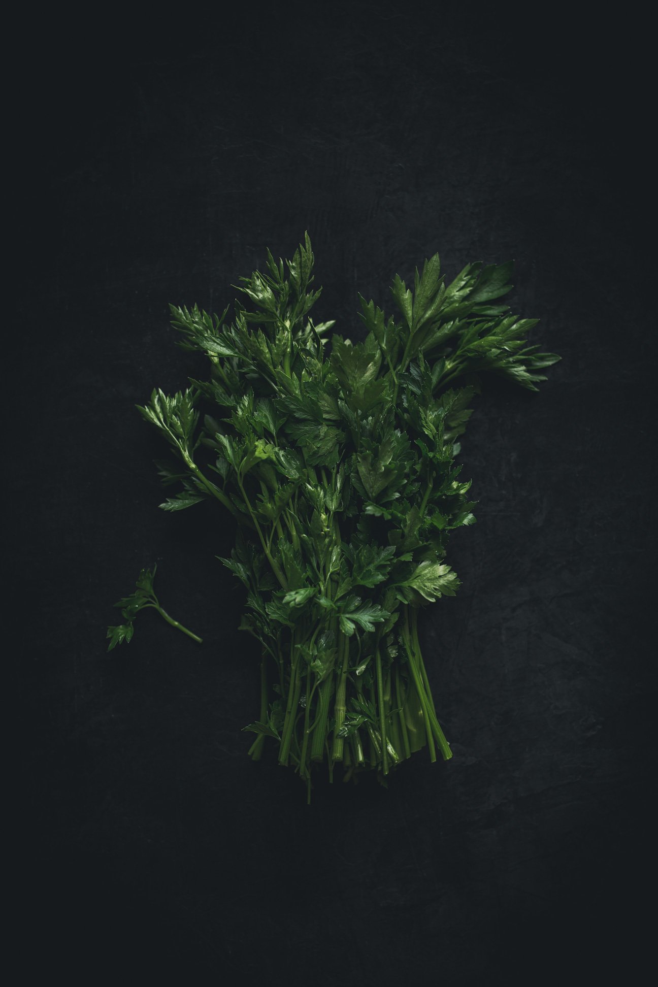 A bunch of fresh parsley on a dark surface.