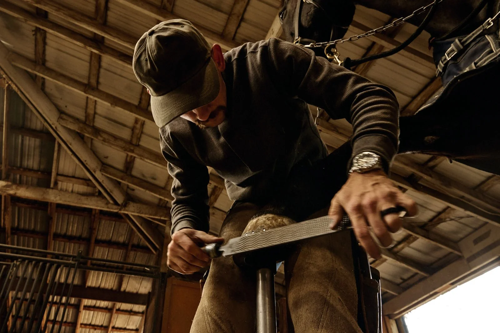 A man is filing a horse hoof on a stand