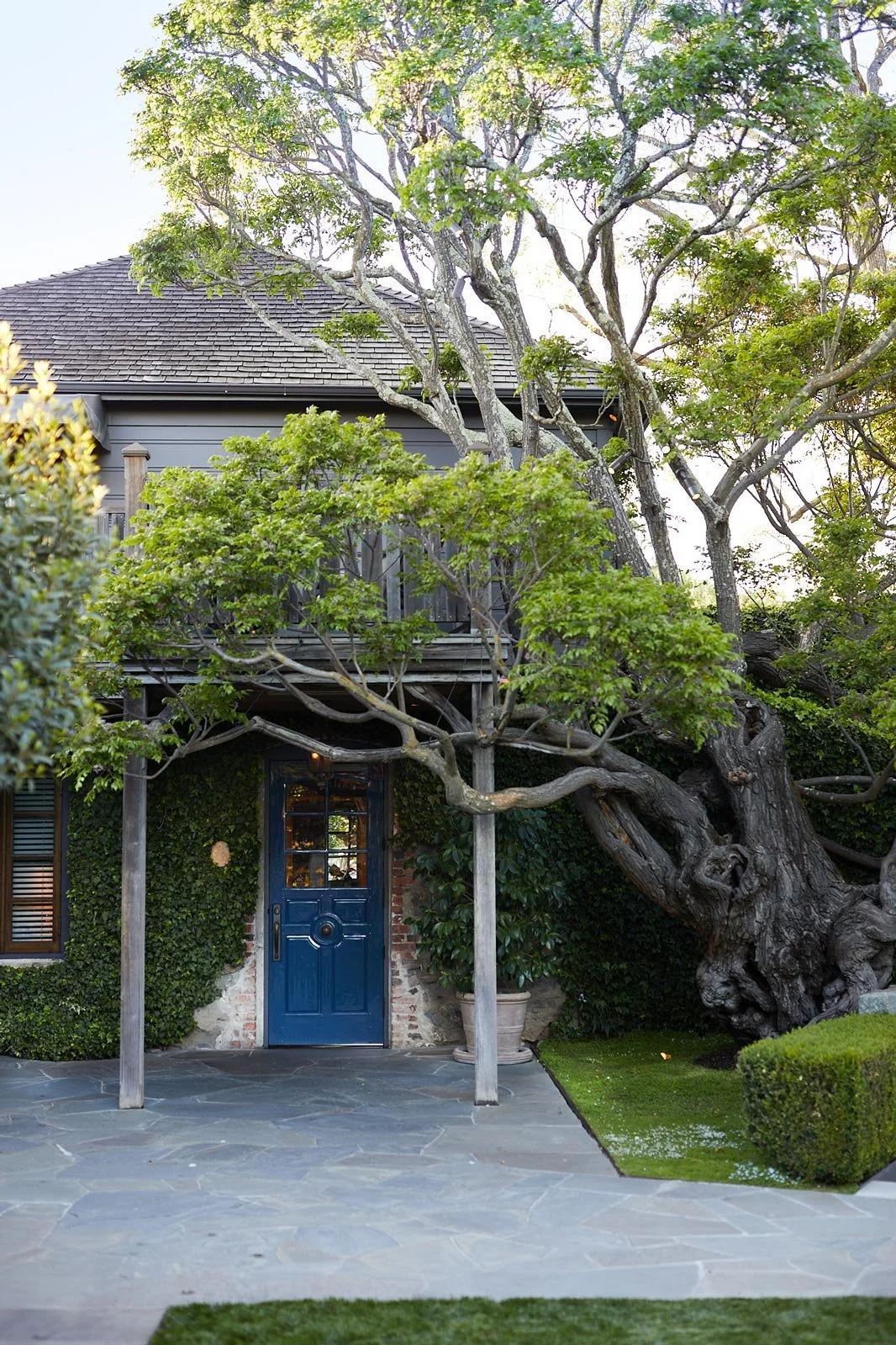 A rustic house with a large tree growing next to the front door, which is painted blue. The house has a second-story balcony with wooden railing and gray shingles. The front yard has a stone patio, green bushes, and a trimmed lawn.