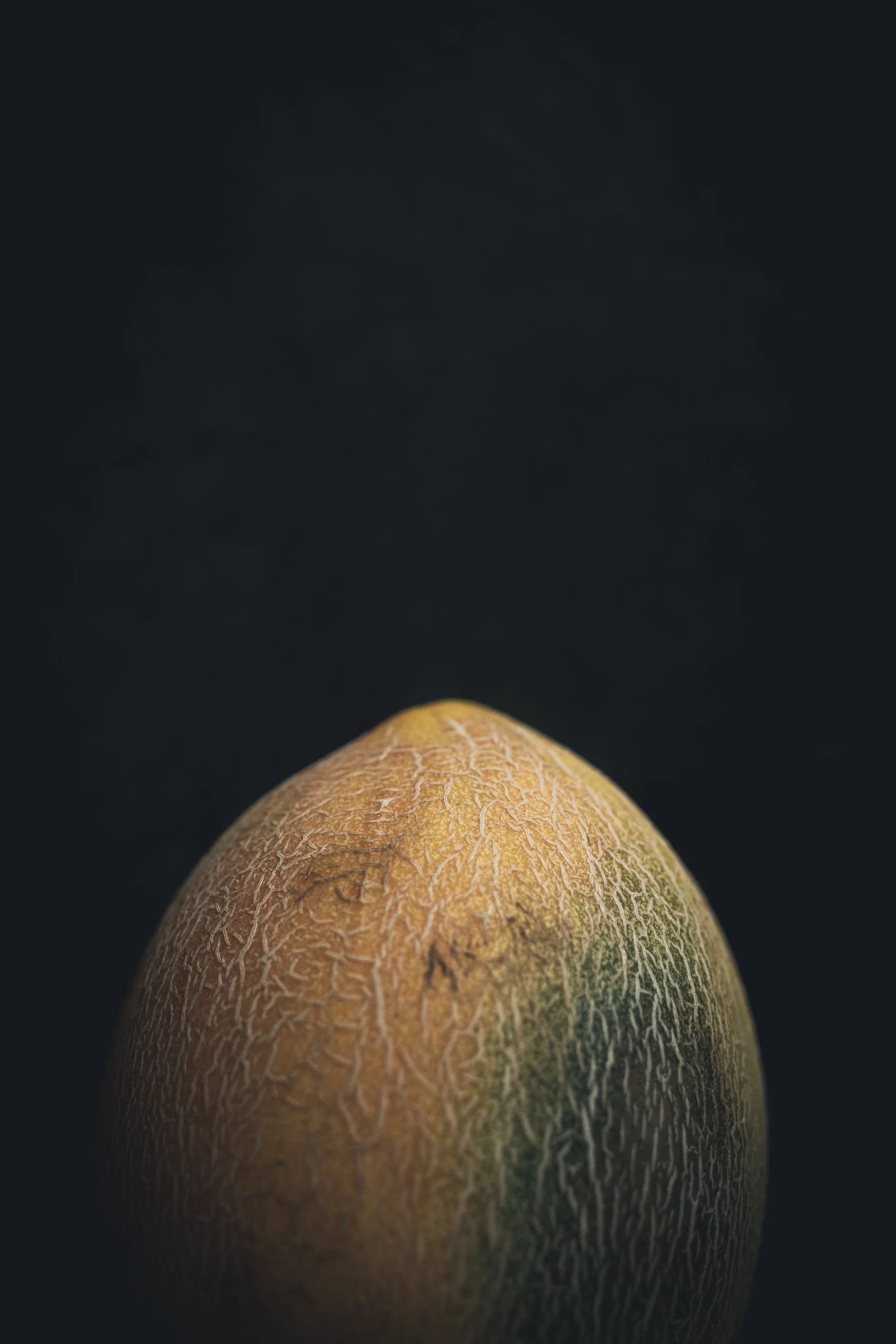 Close-up of a melon with cracked skin on a dark background.
