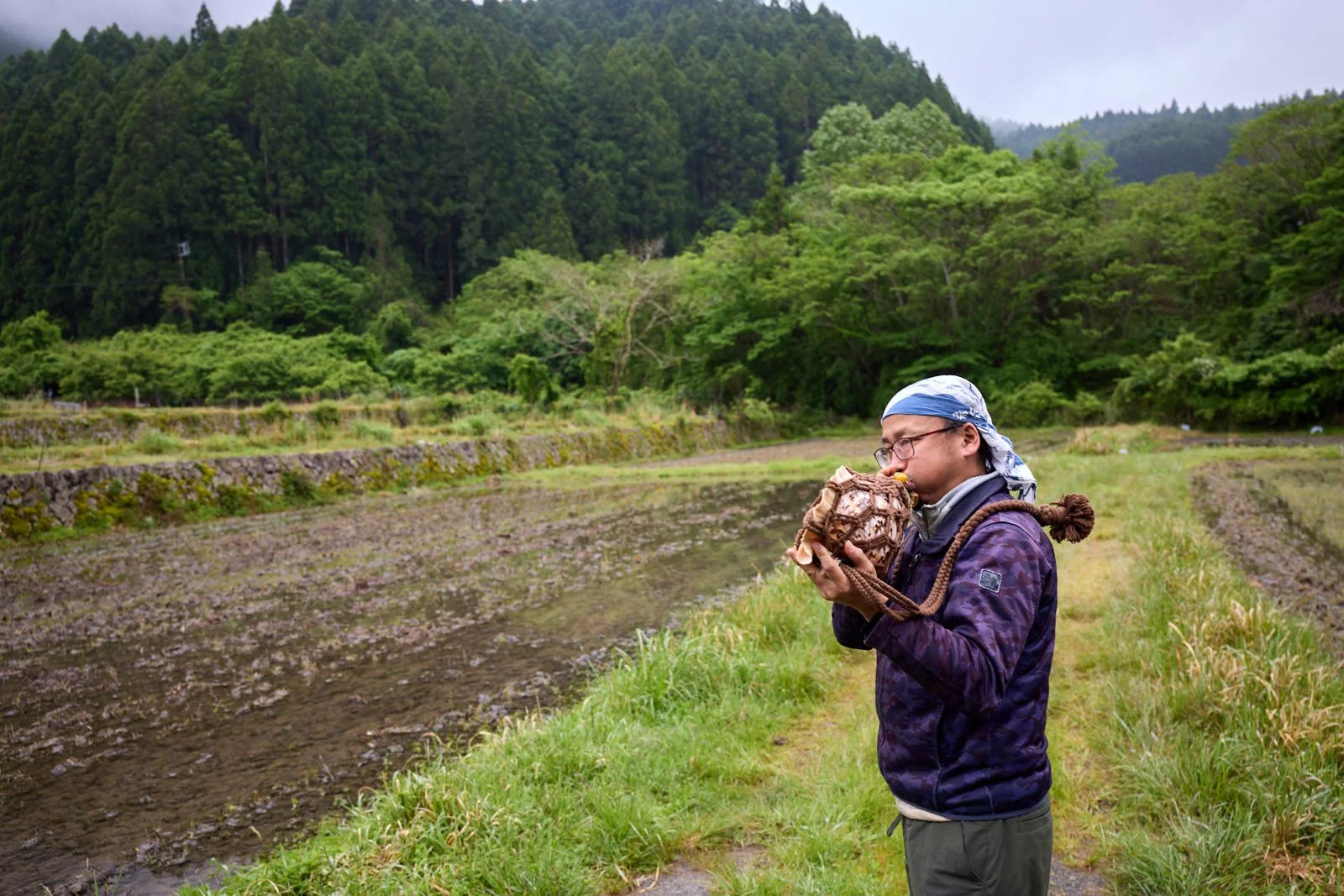 A man with glasses, wearing a blue headscarf and a purple jacket, is standing outdoors near a rice paddy field, holding a conch shell close to his mouth.