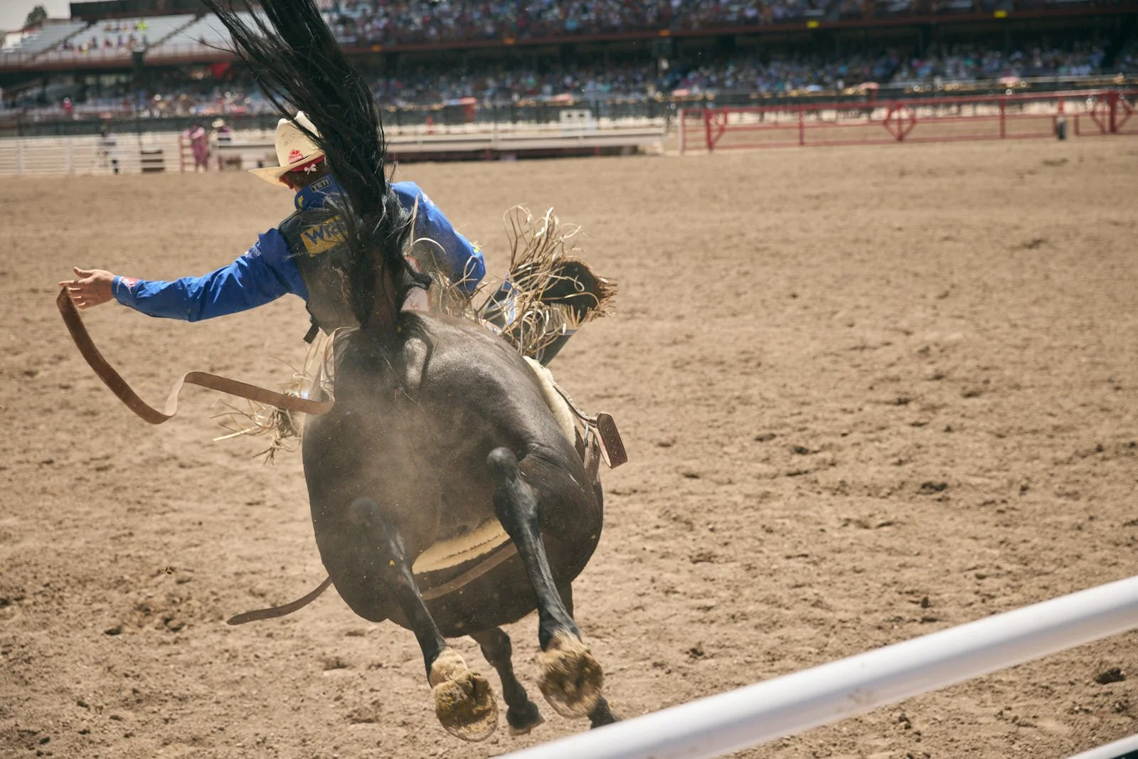 Cowgirl riding a bucking horse at a rodeo