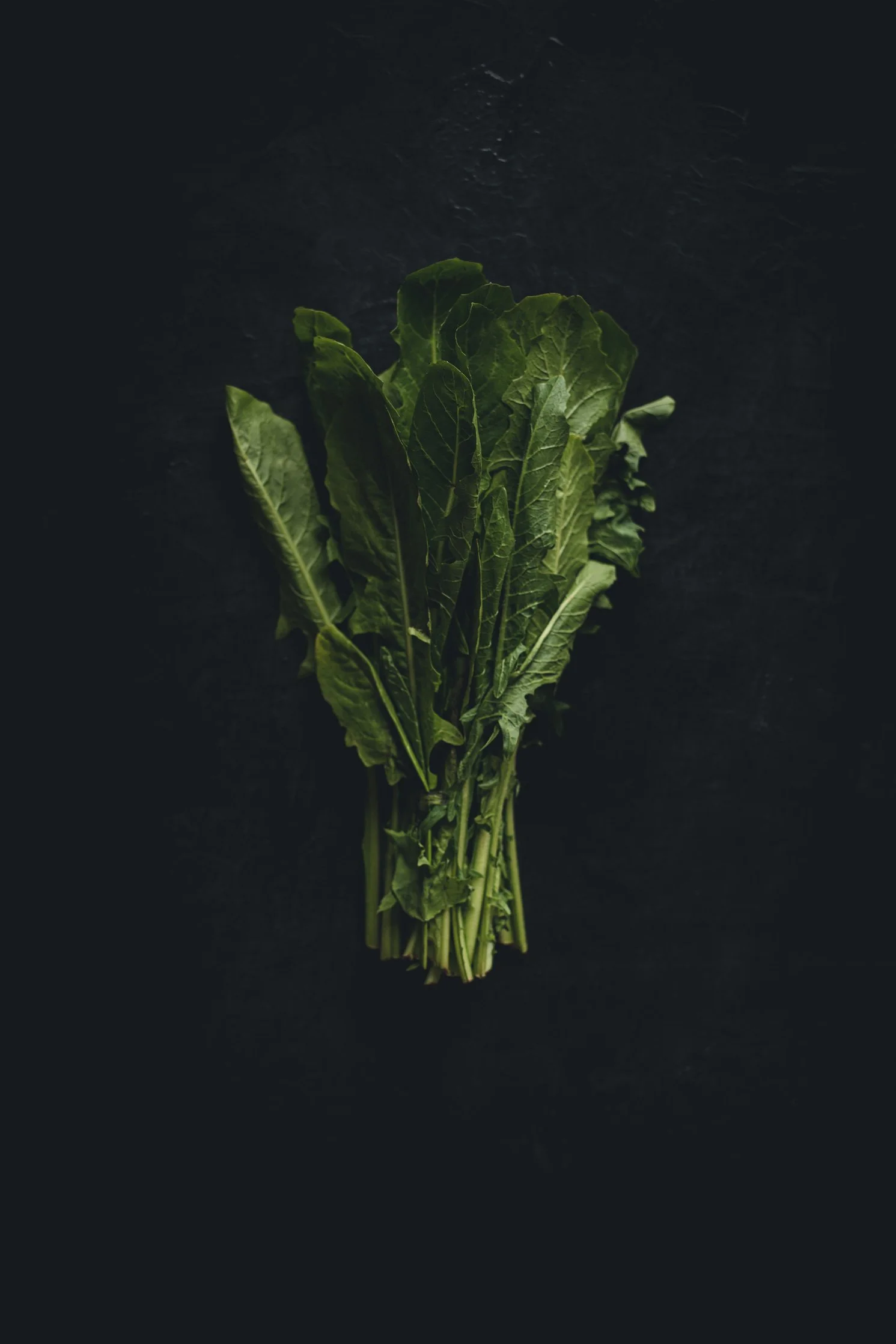 Fresh bunch of leafy greens on a dark background.