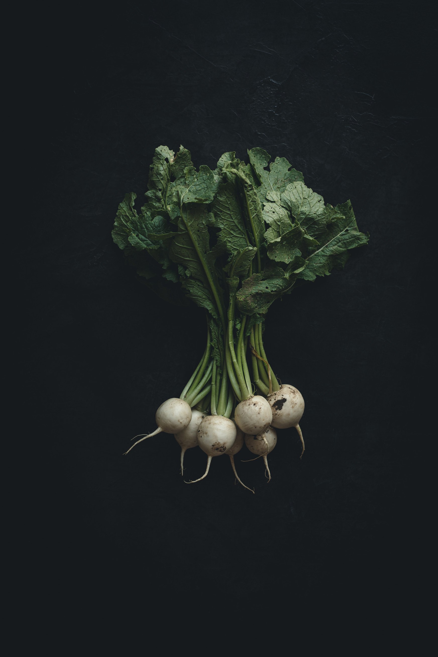 A bunch of fresh turnips with green leafy tops on a dark surface.