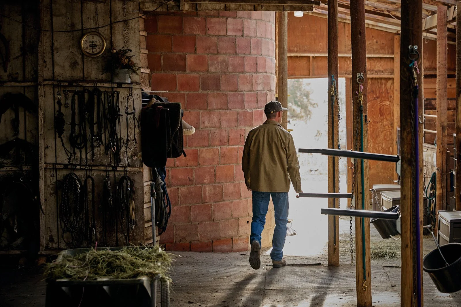 A man wearing a brown jacket and jeans walking into a rustic barn with horse tack hanging on the wall and a pile of hay in the foreground.