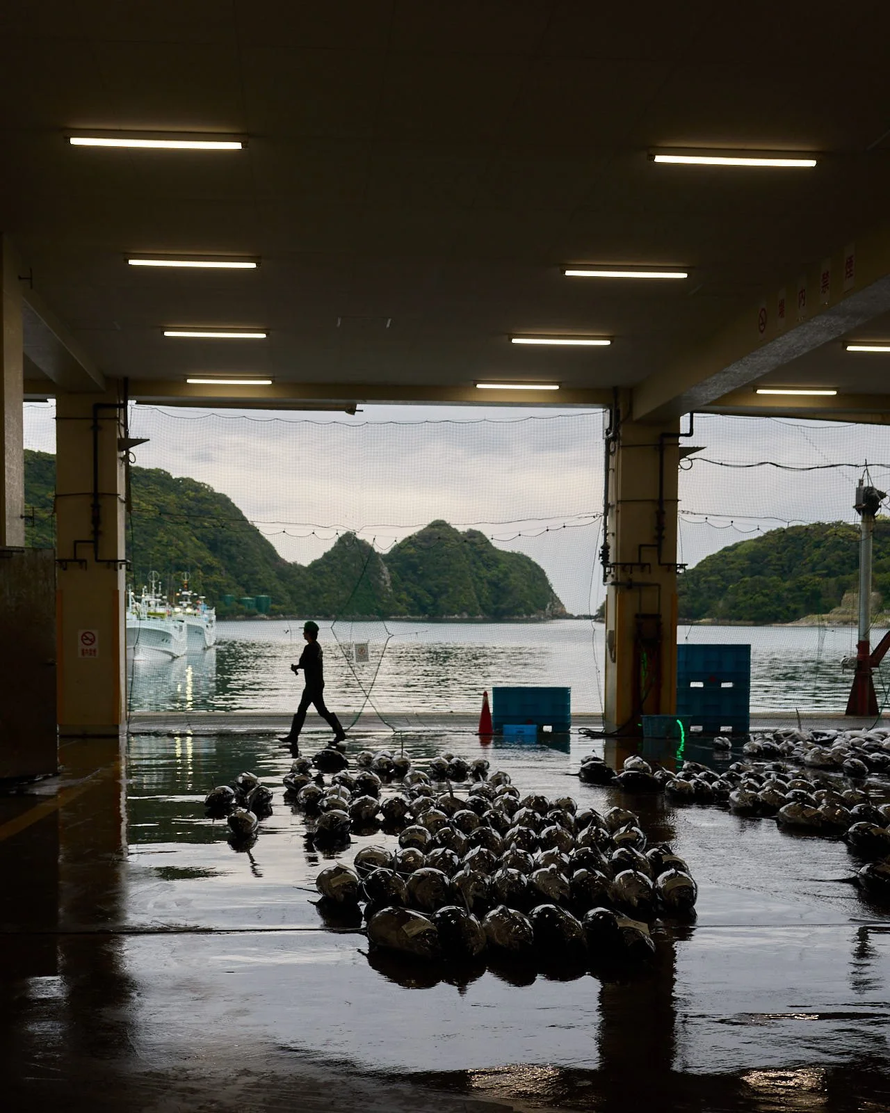 View of a harbor with fishing boats, green hilly islands, and cloudy sky seen through an open warehouse door. A person is walking among tuna on the wet floor inside the warehouse.