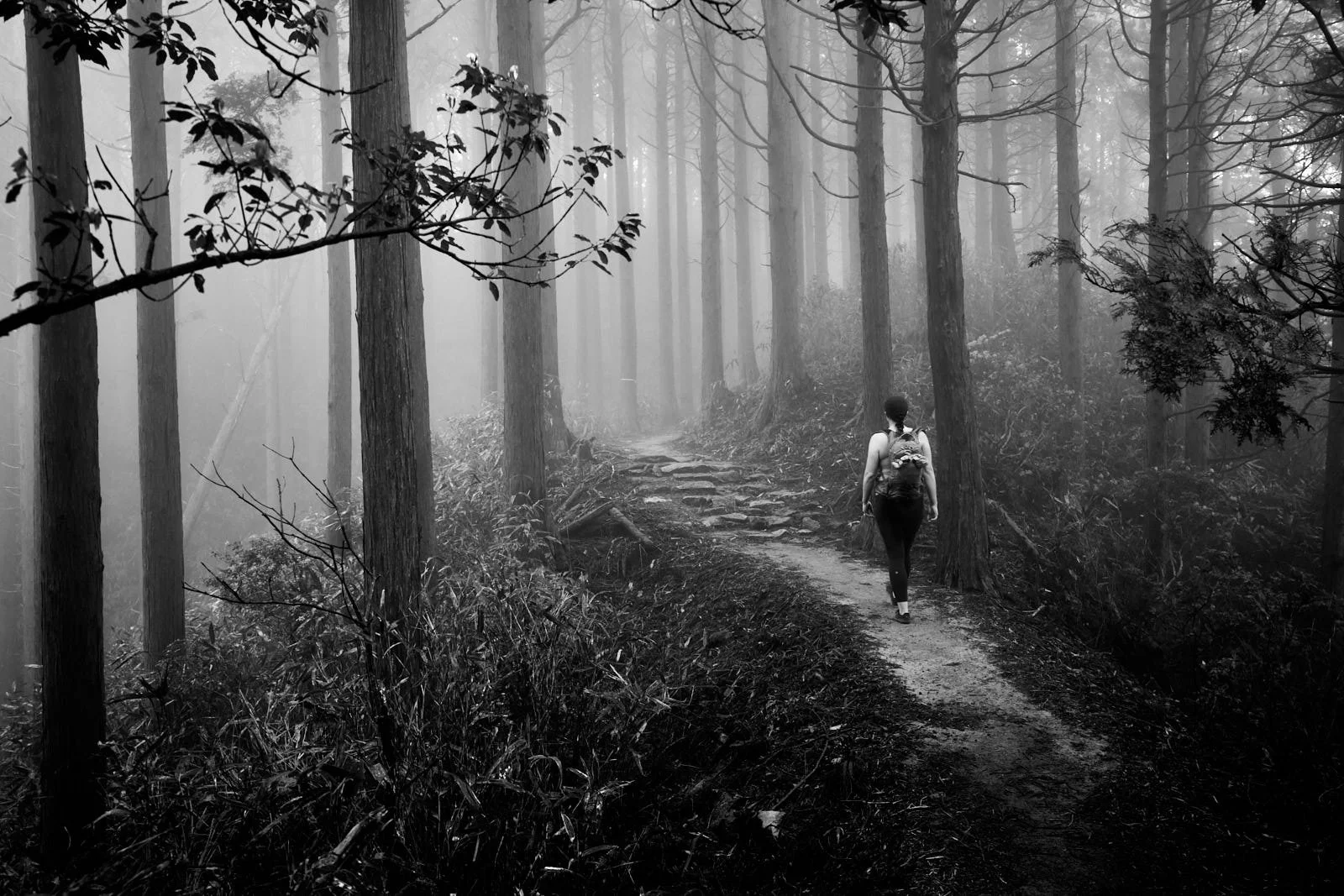 A person with a backpack walking on a misty trail through a forest in Japan with tall trees and dense foliage in black and white.