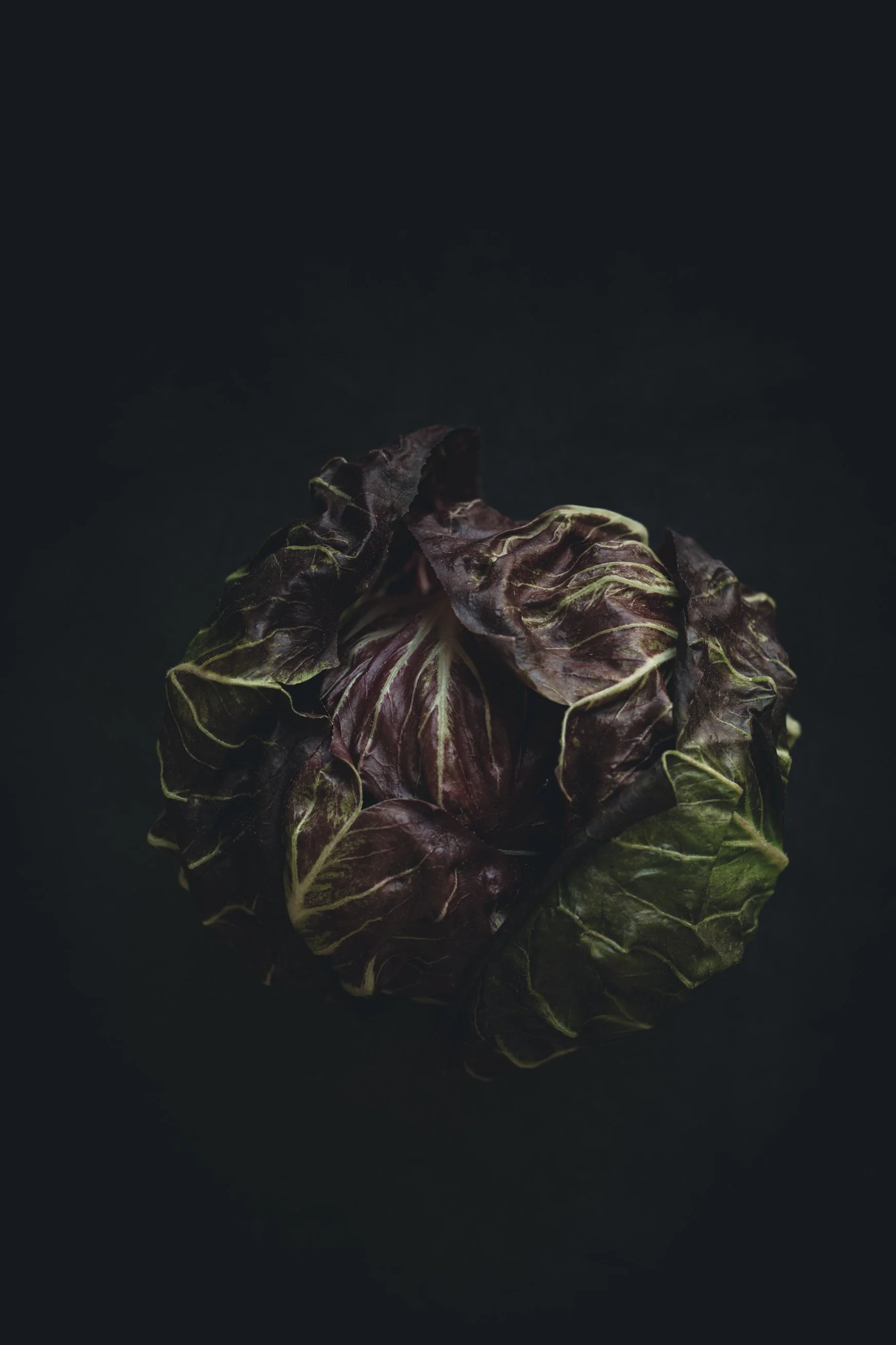 A head of purple and green lettuce on a dark background.
