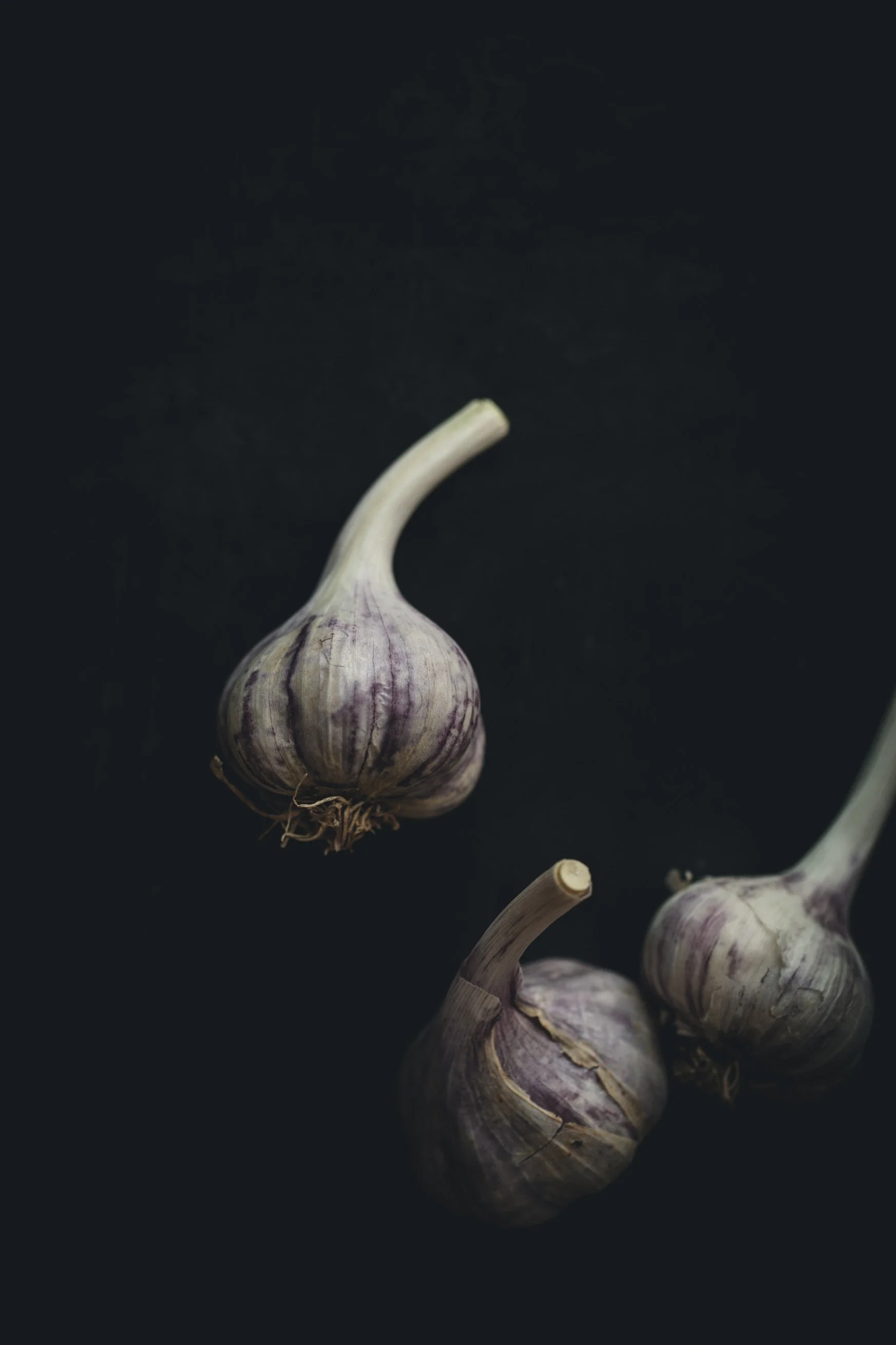 Three garlic bulbs with purple streaks on a dark background.