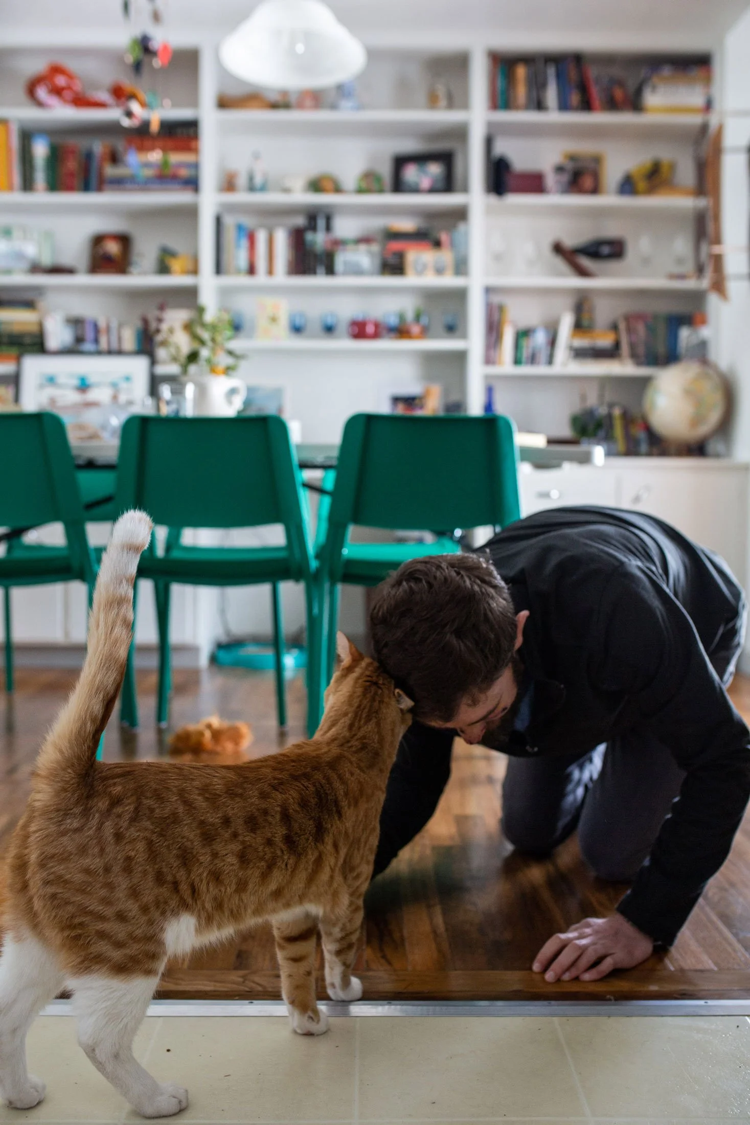 A man kneeling on the floor and interacting with a ginger cat in a home. The background shows a white bookshelf filled with books and decorative items and a dining table with teal chairs.