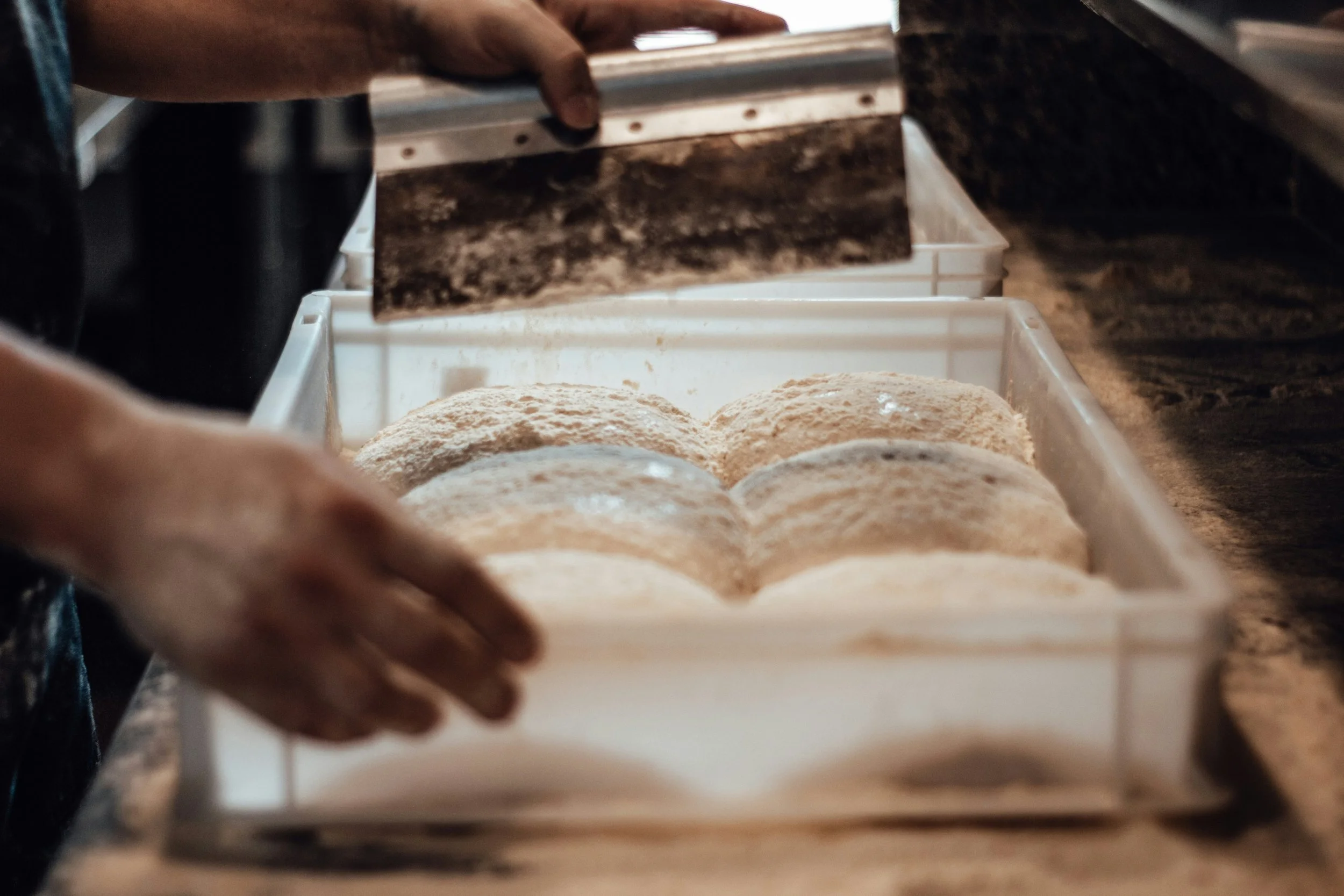 Baker handling trays of flour-dusted bread dough in a commercial kitchen.